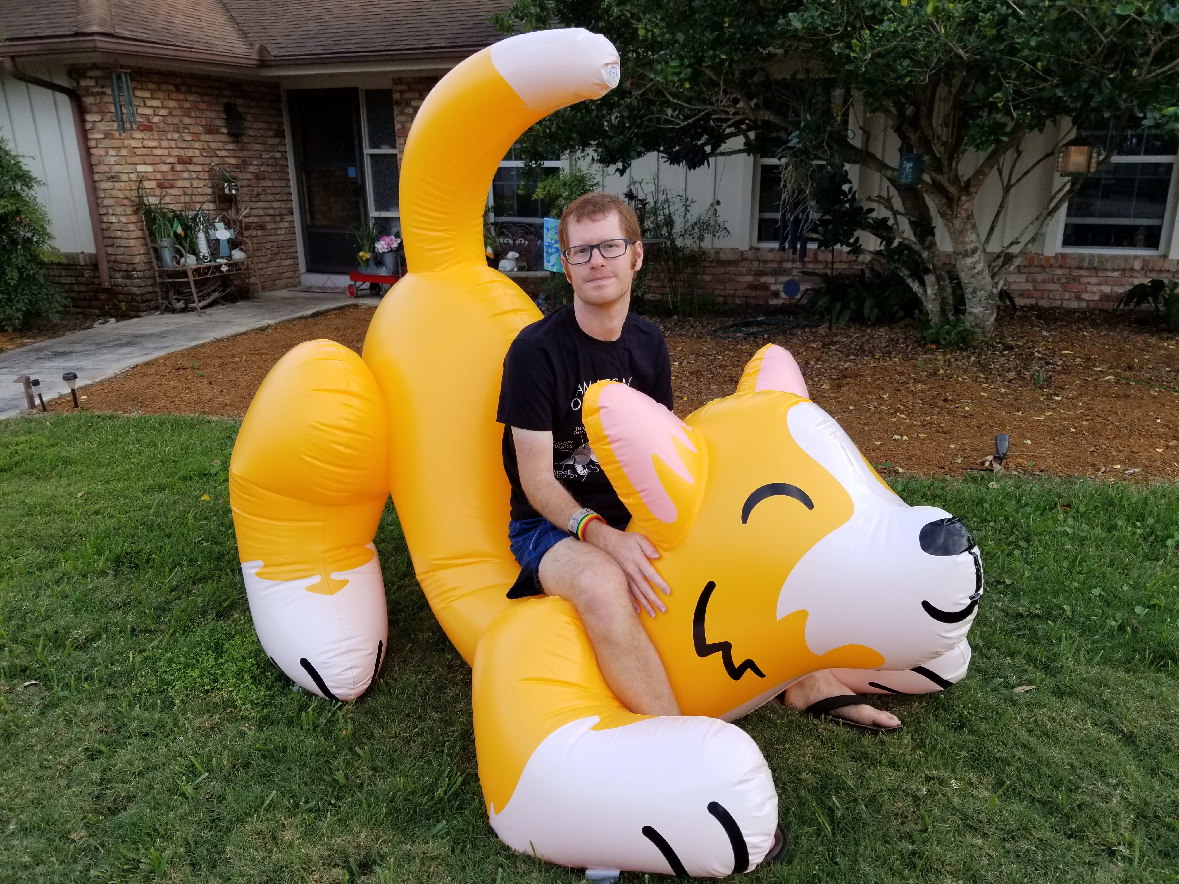 Giant inflatable corgi!