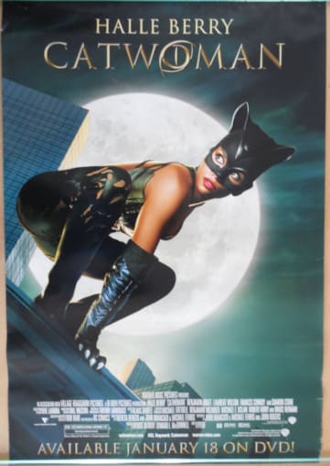 Halle Berry as Catwoman