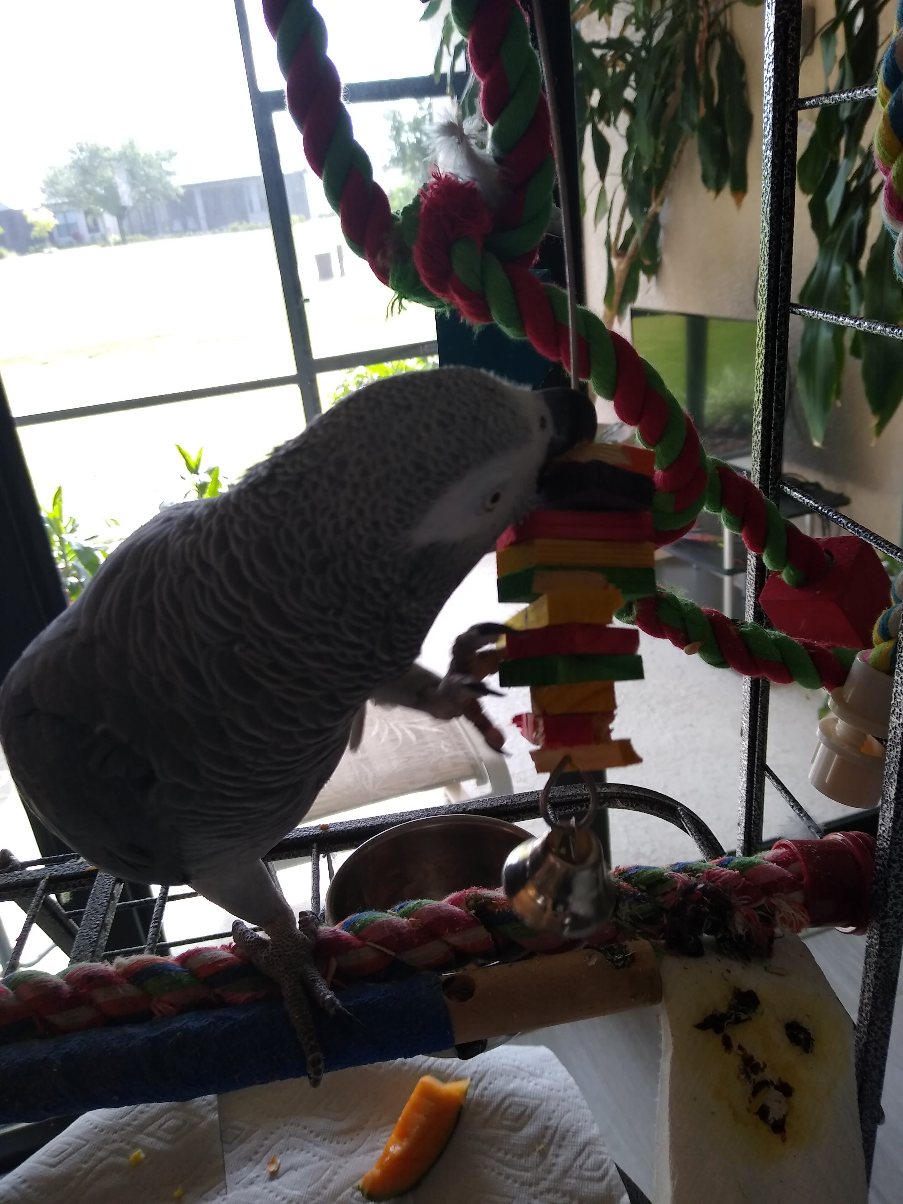 enter image description here