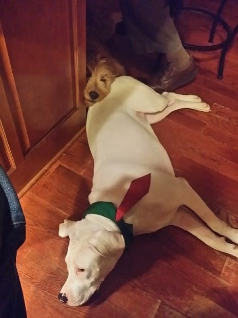 I see your Pinky and I raise you Pinky and Sam