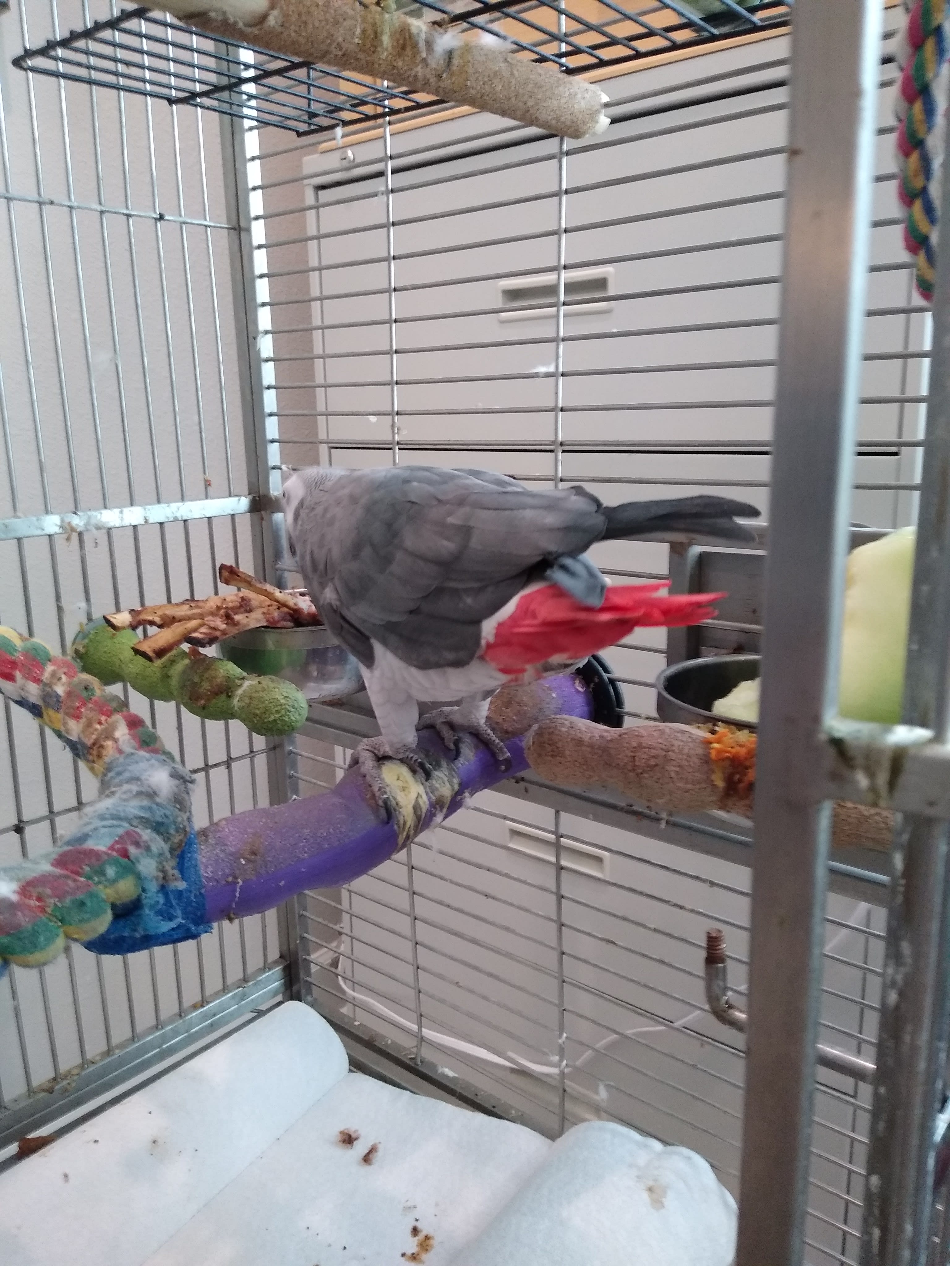 enter image description here