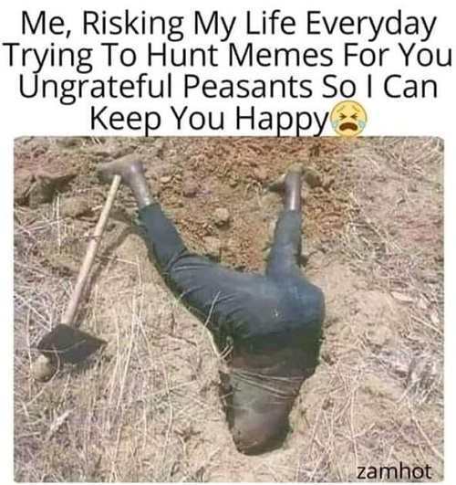 meme hunting