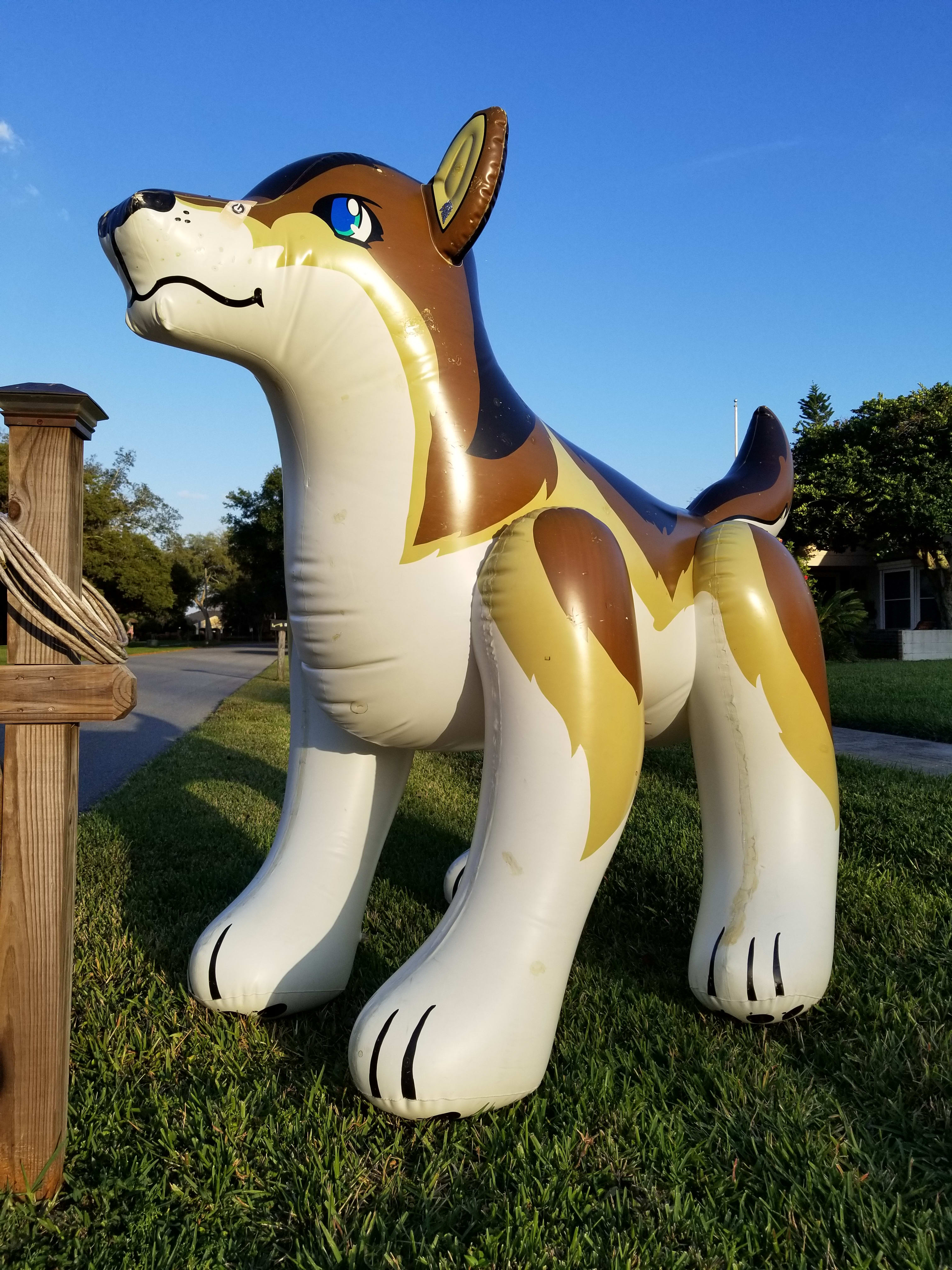 The giant-est of dogs!