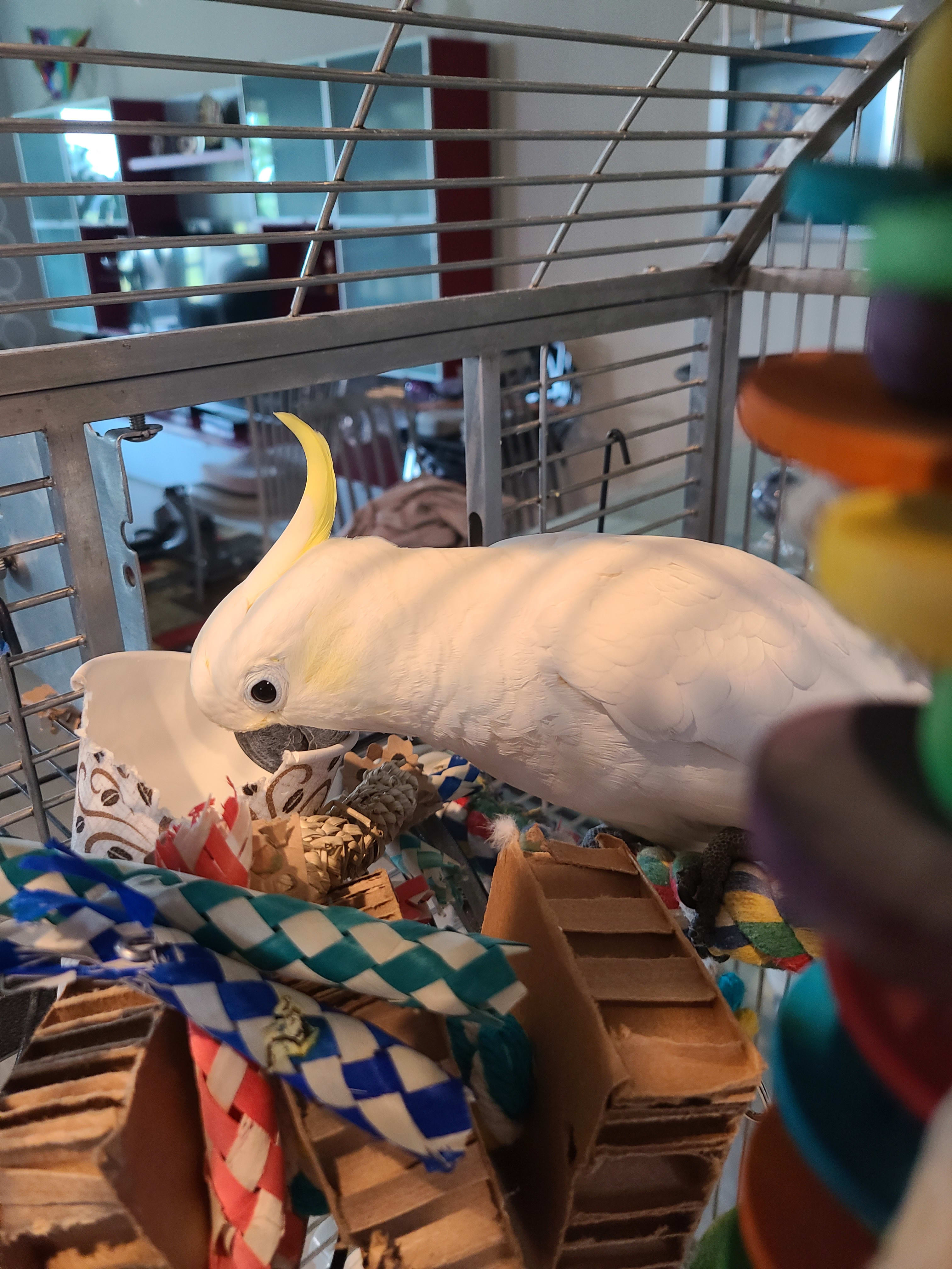 enter image description here