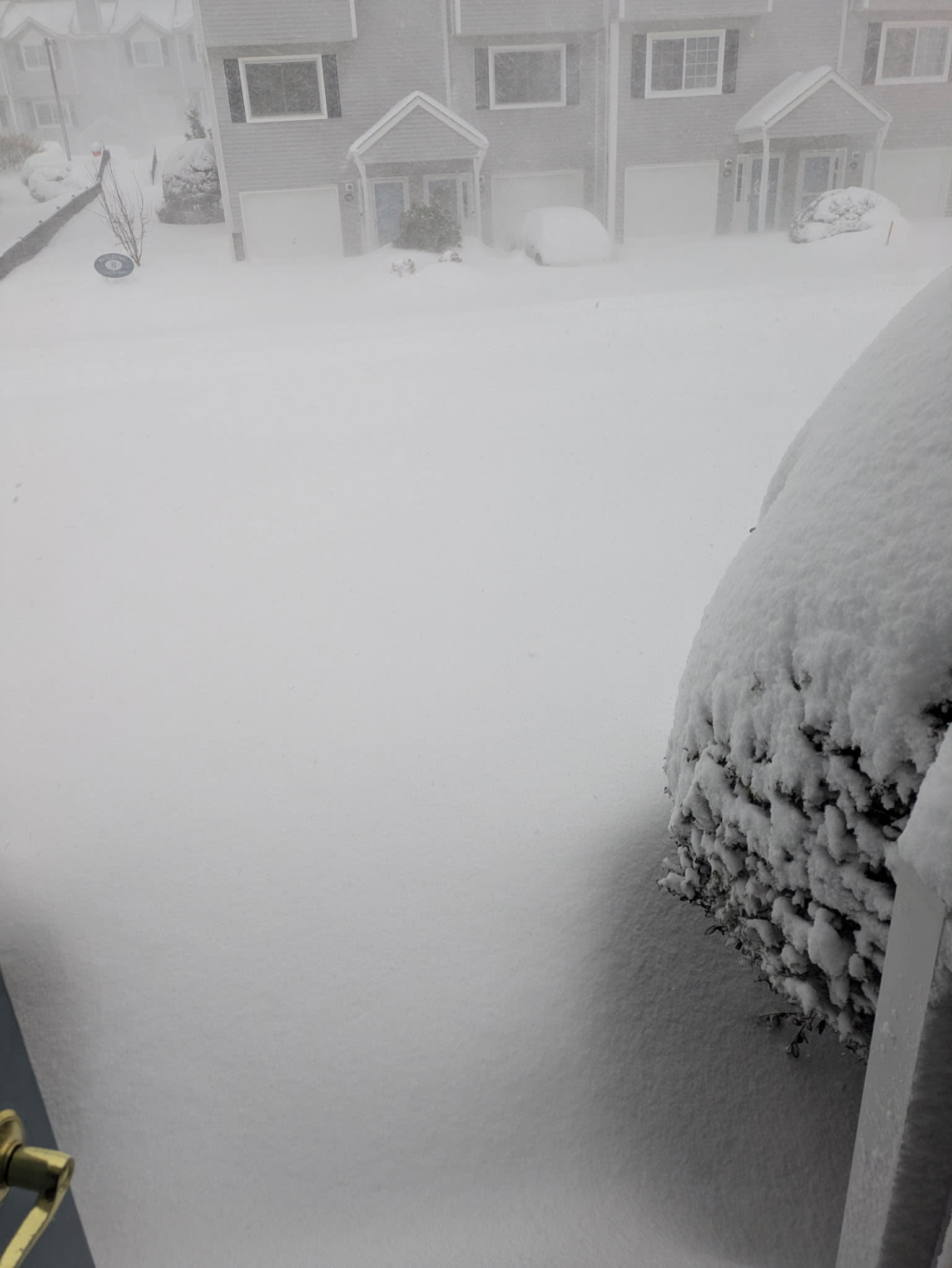looking out our front door ☃️❄️