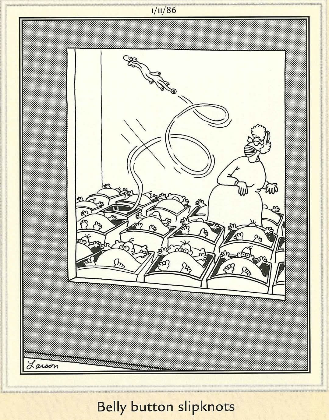 Far Side
