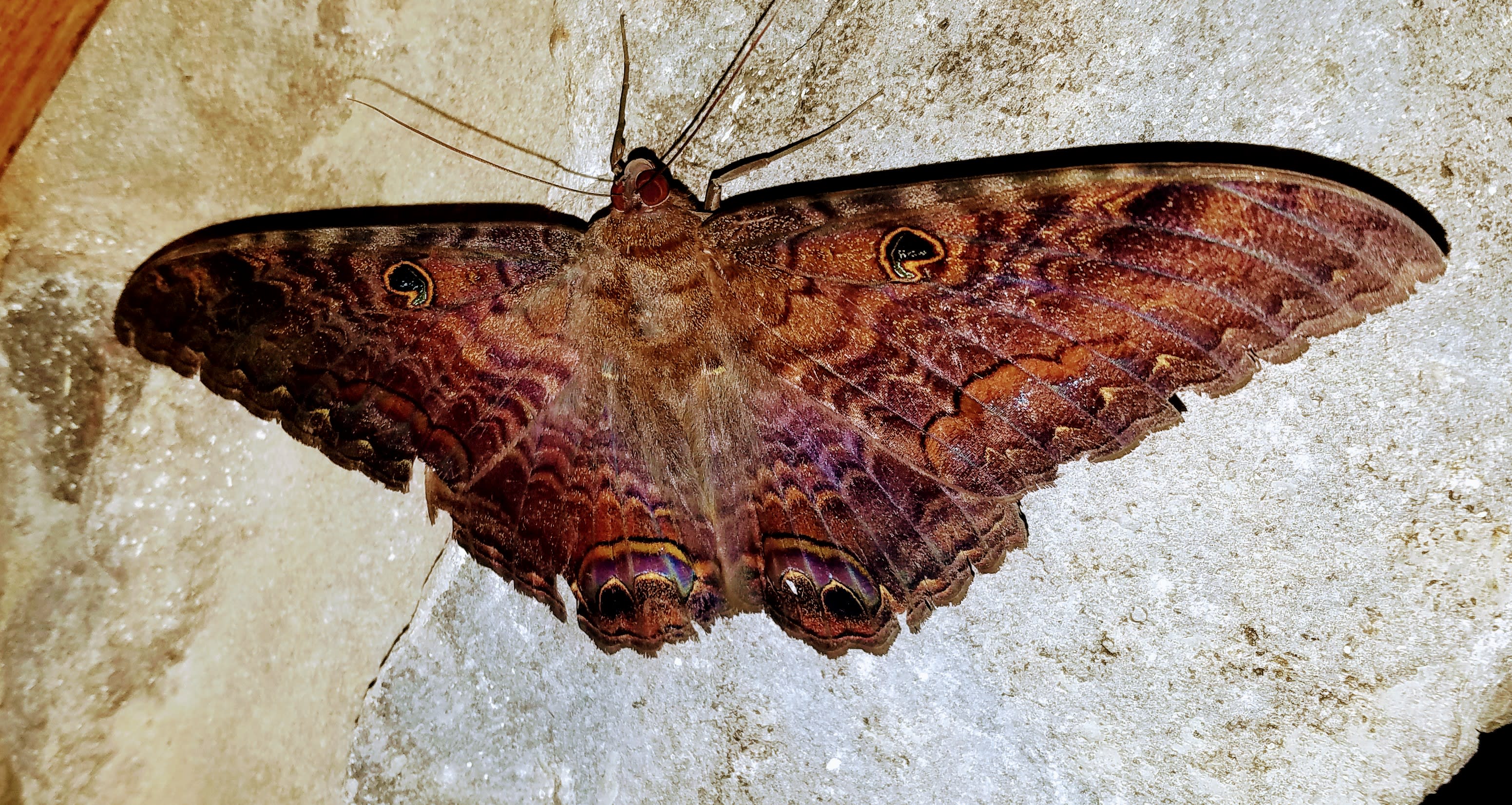 enter image description here