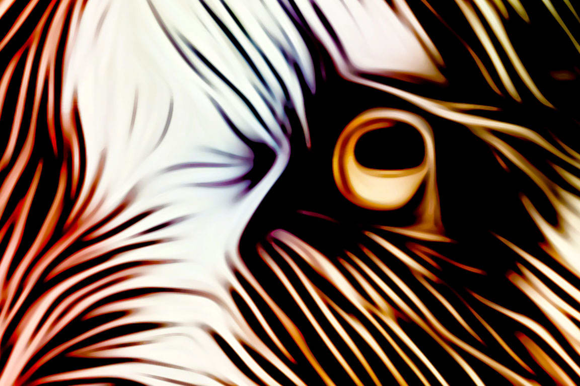 AUGH too close too close abort!