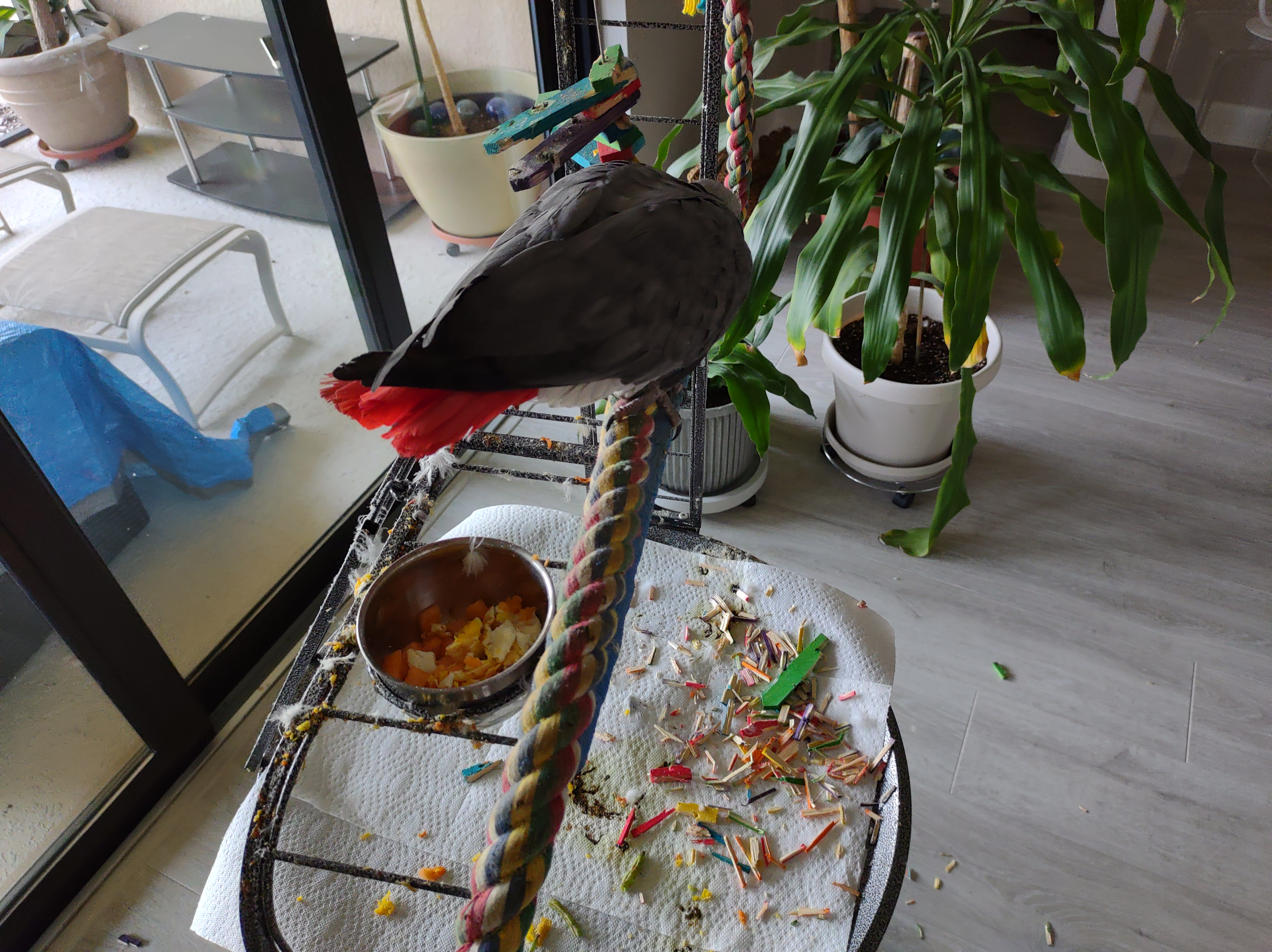 enter image description here