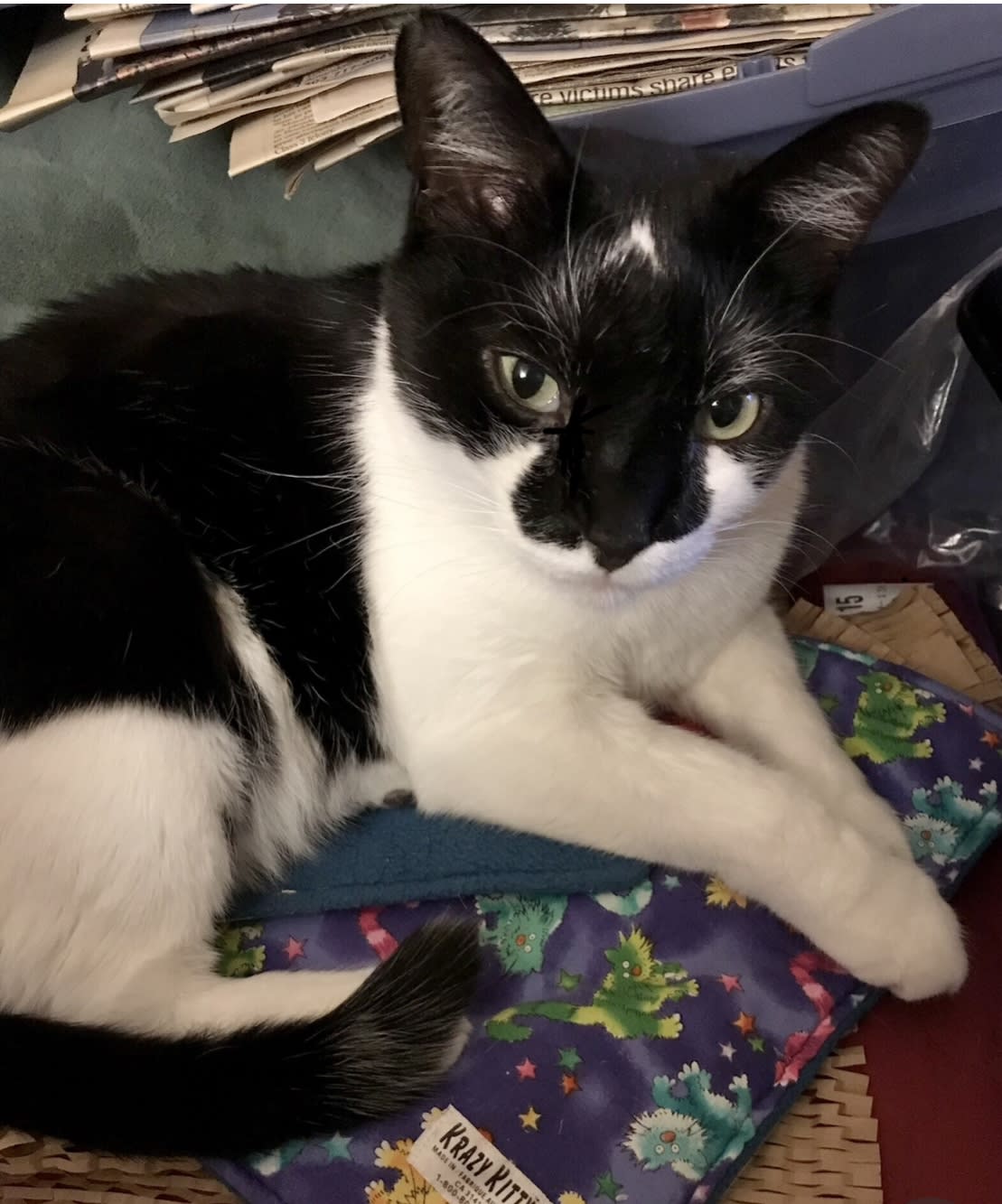 enter image description here