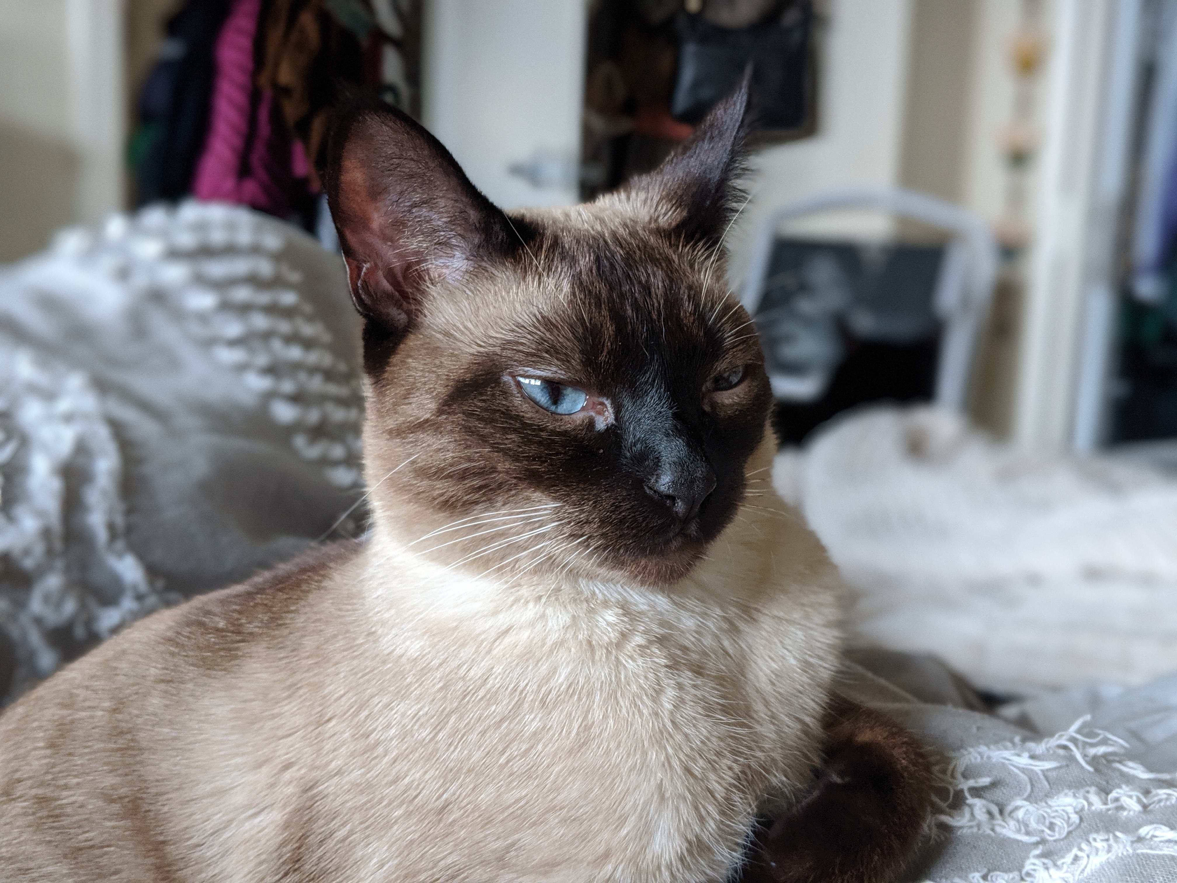 My babygirl Sasha :)