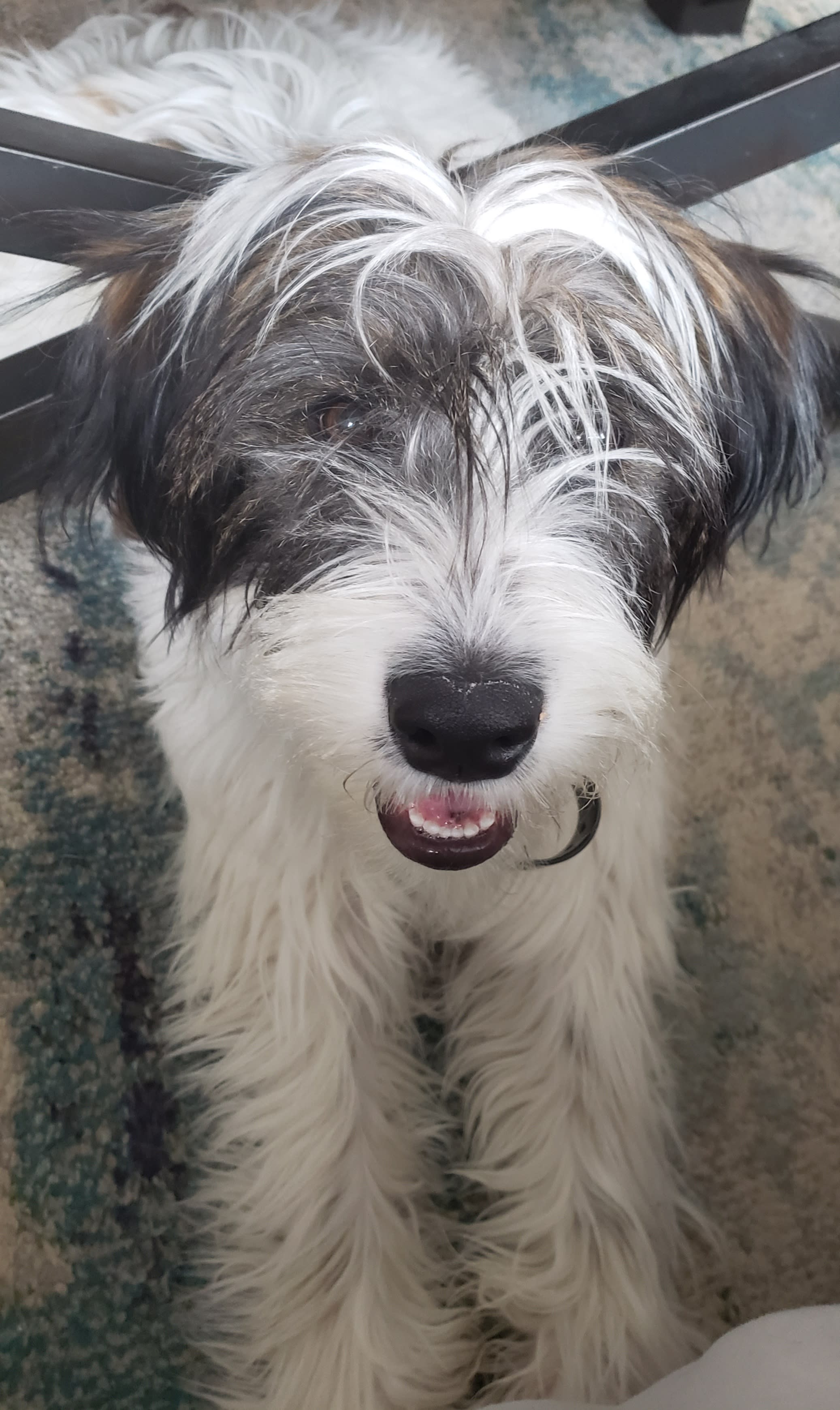 enter image description here