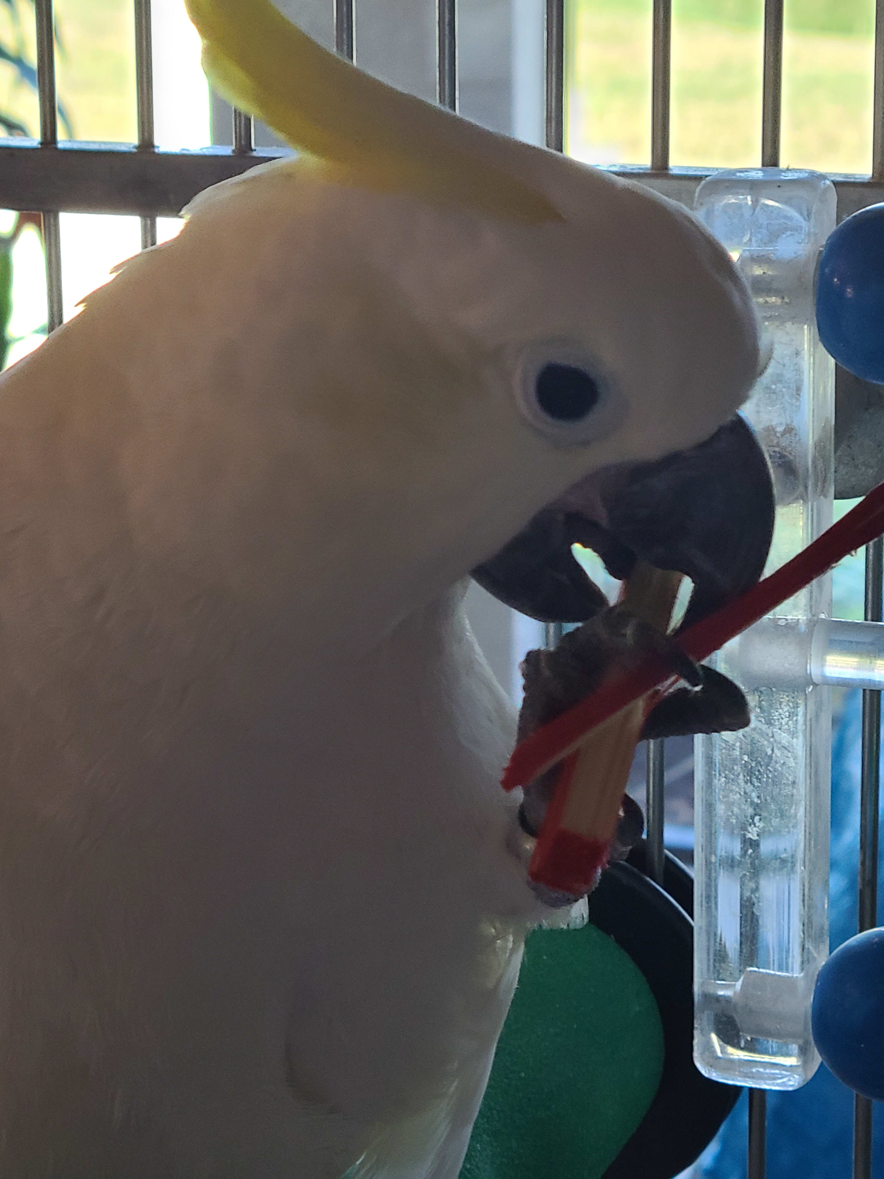 enter image description here