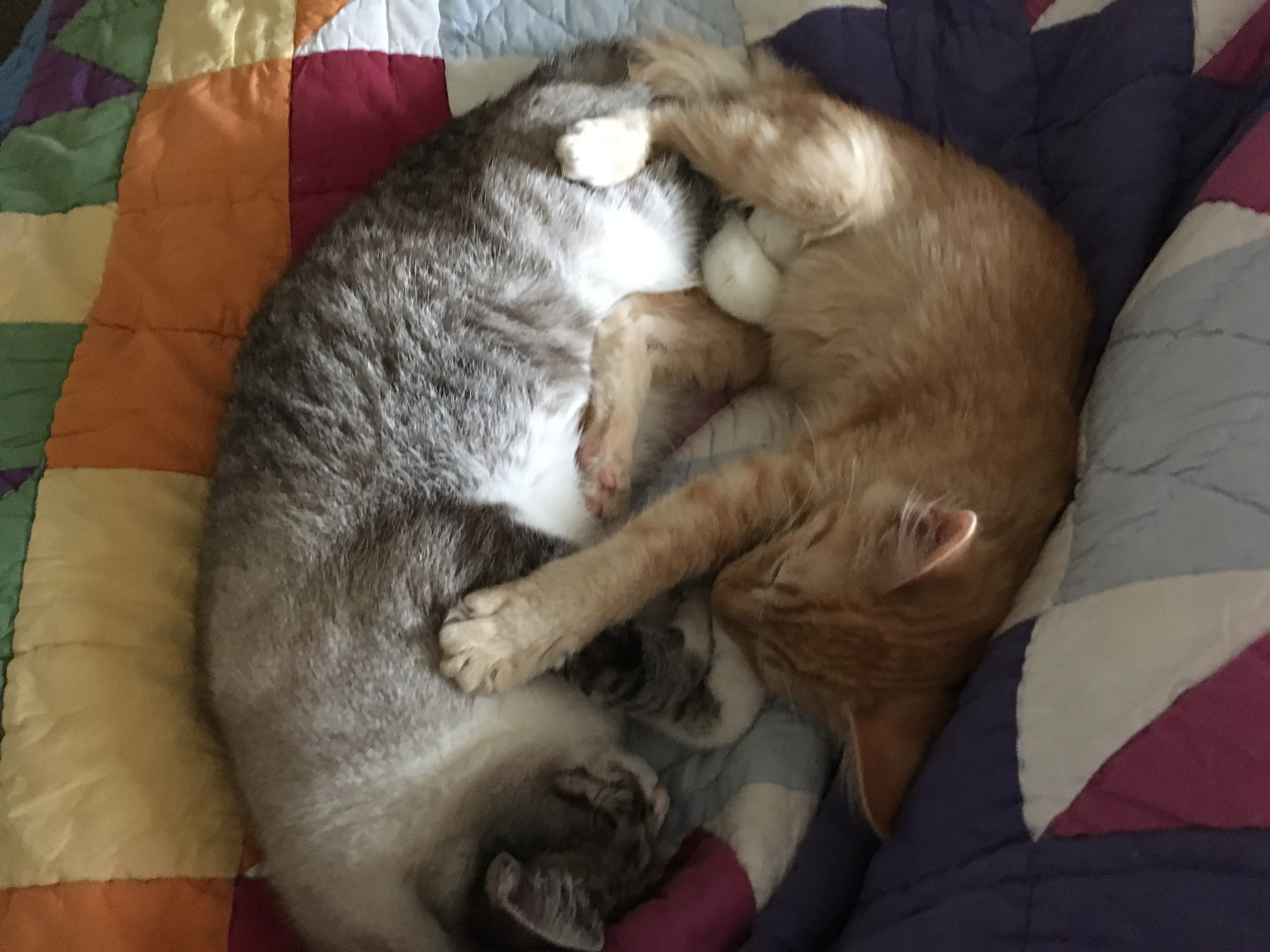 enter image description here