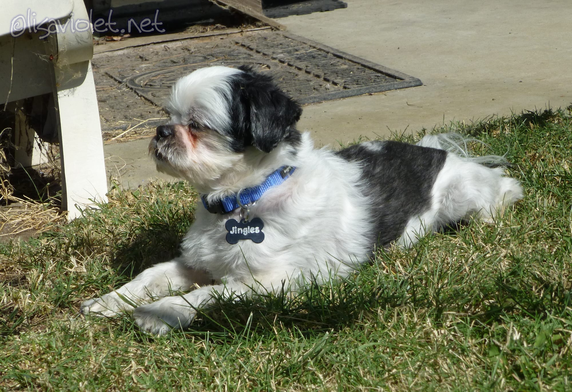 enter image description here