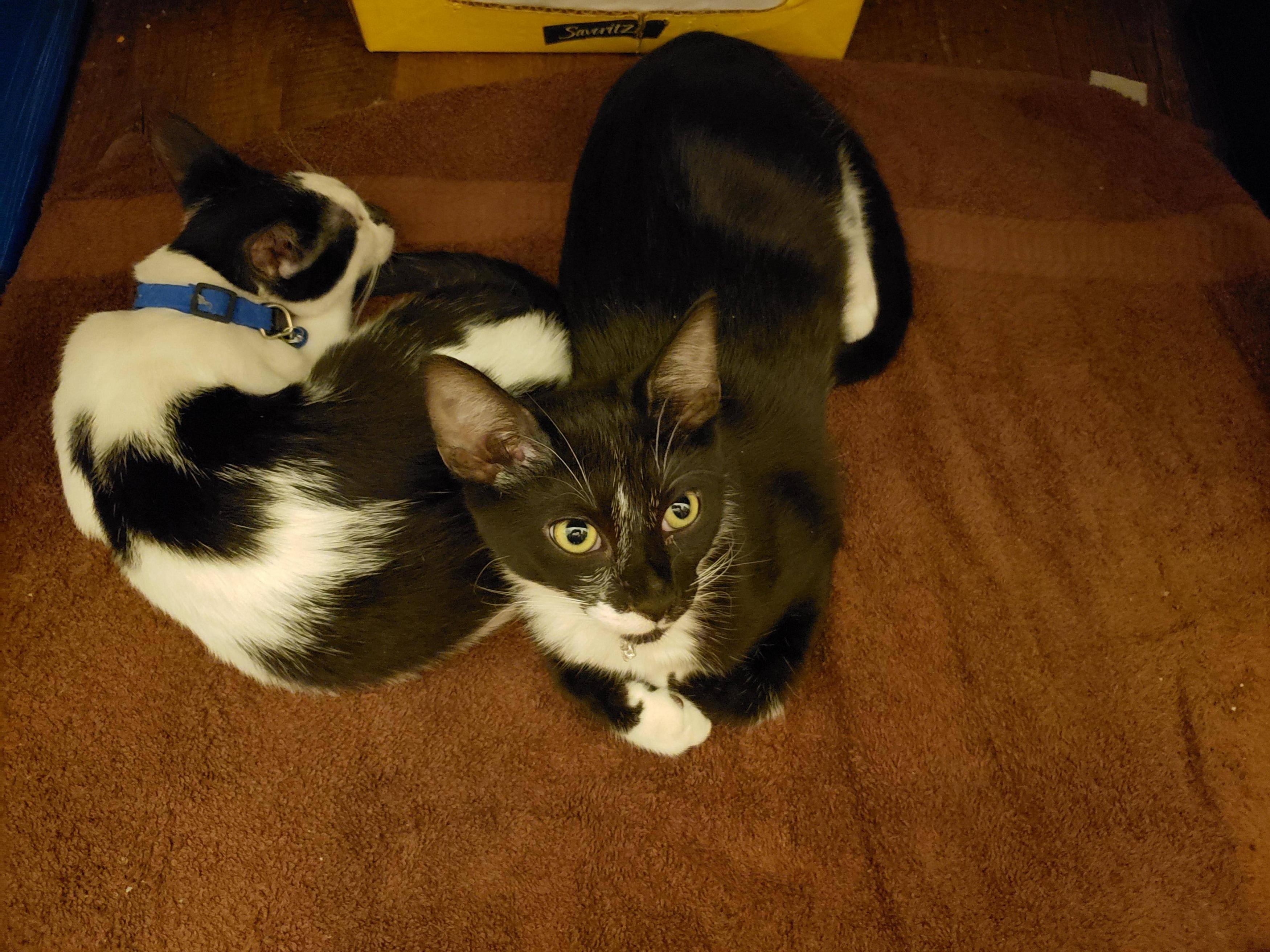 enter image description here