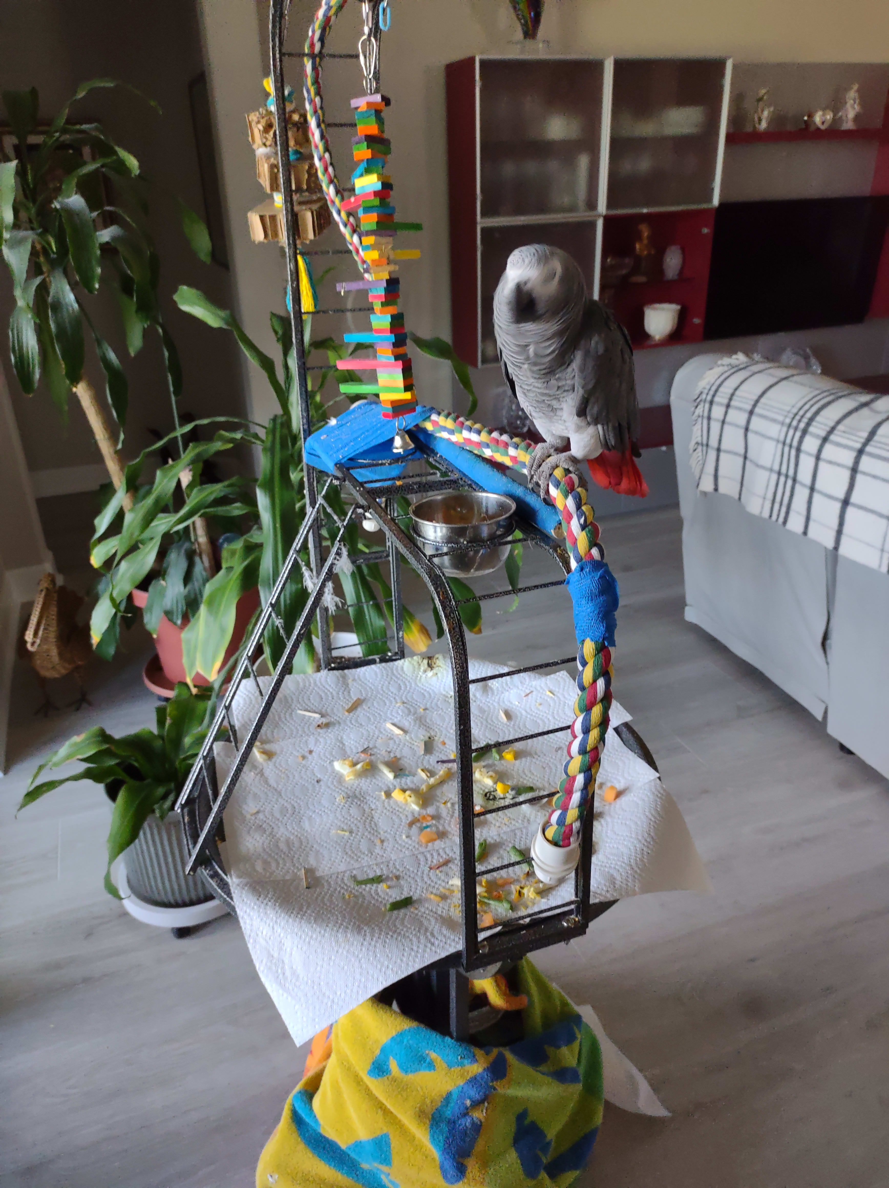 enter image description here