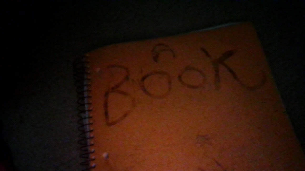 The Orange notebook