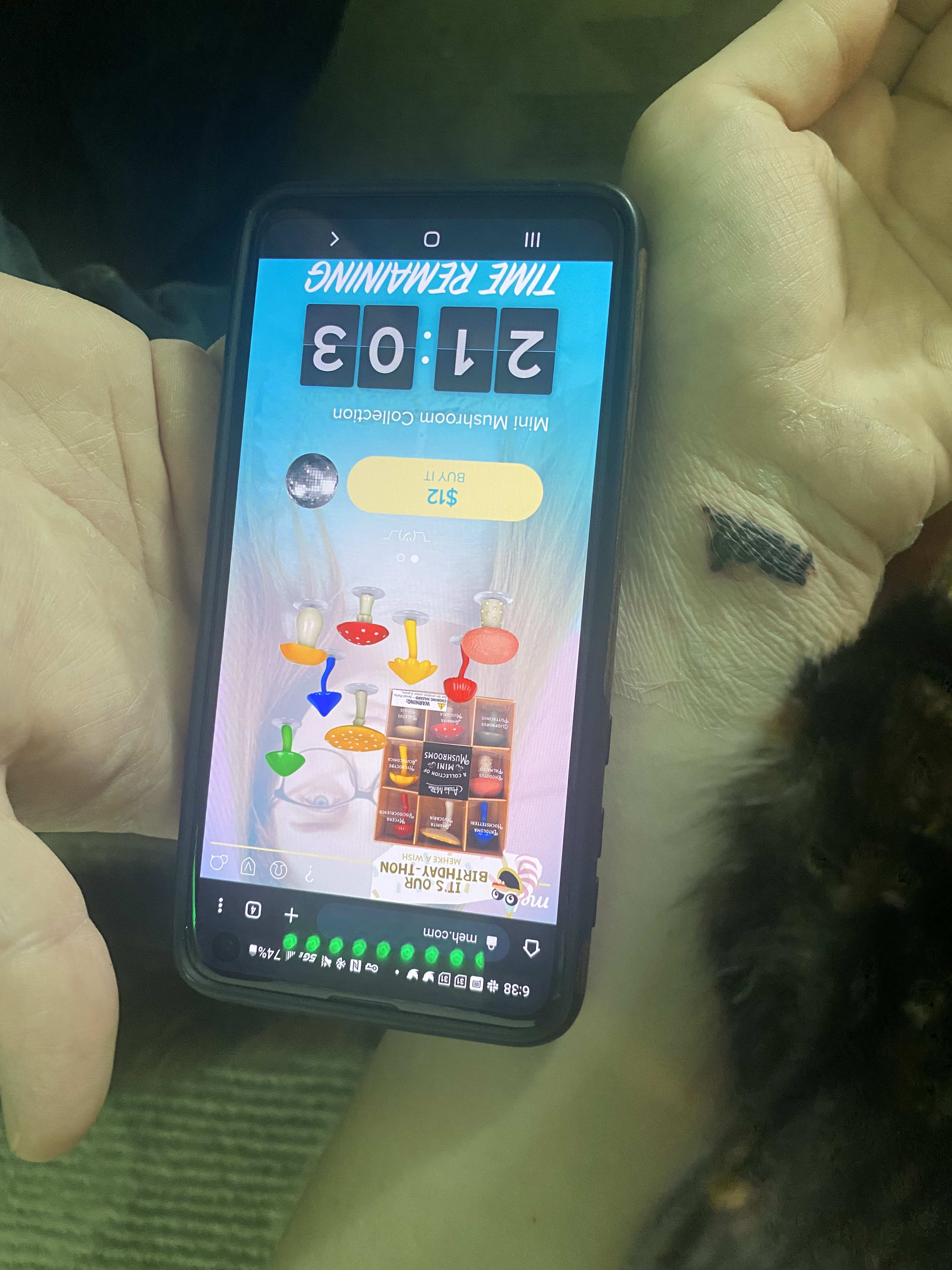 enter image description here