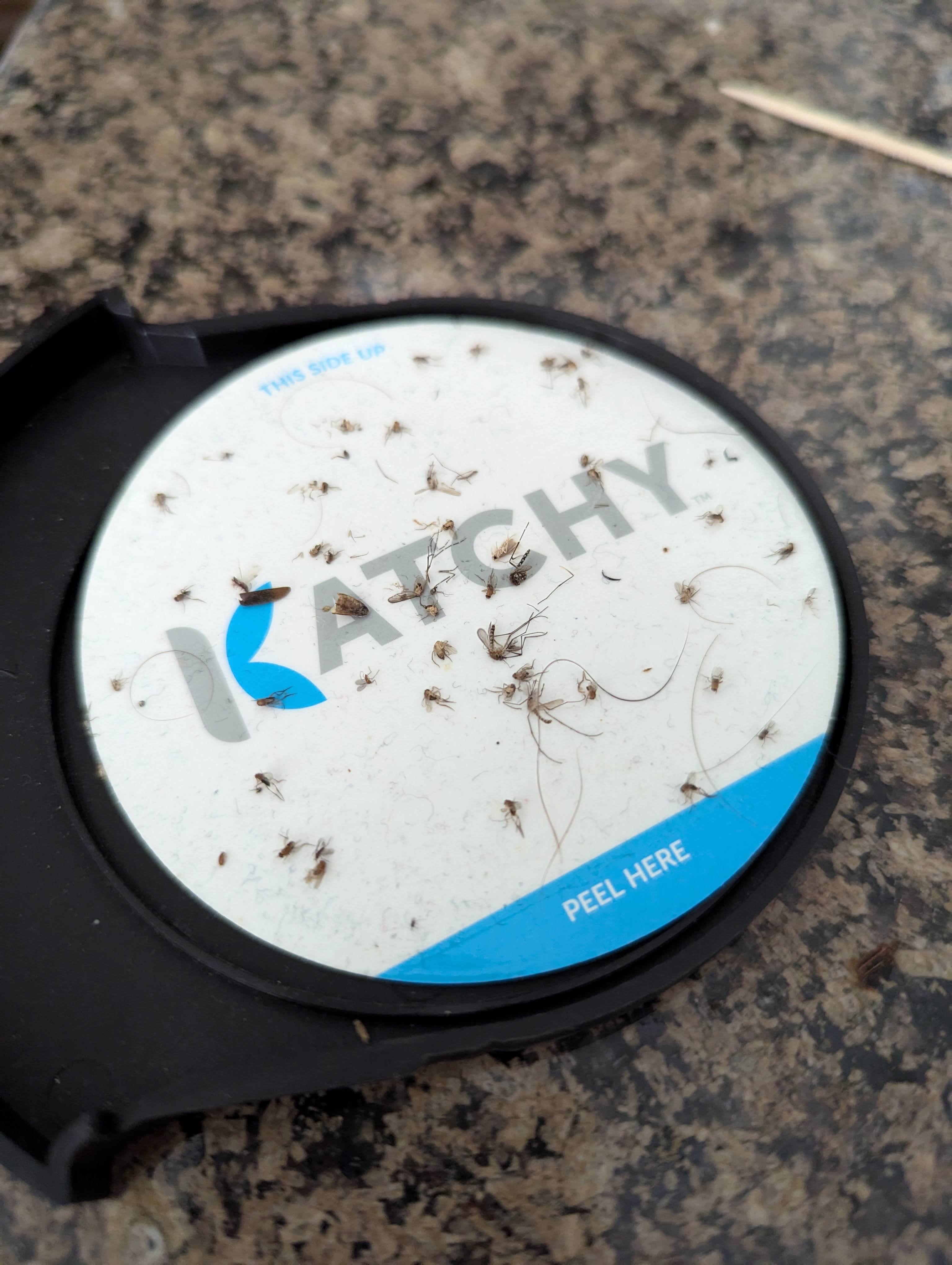 trap after a few months