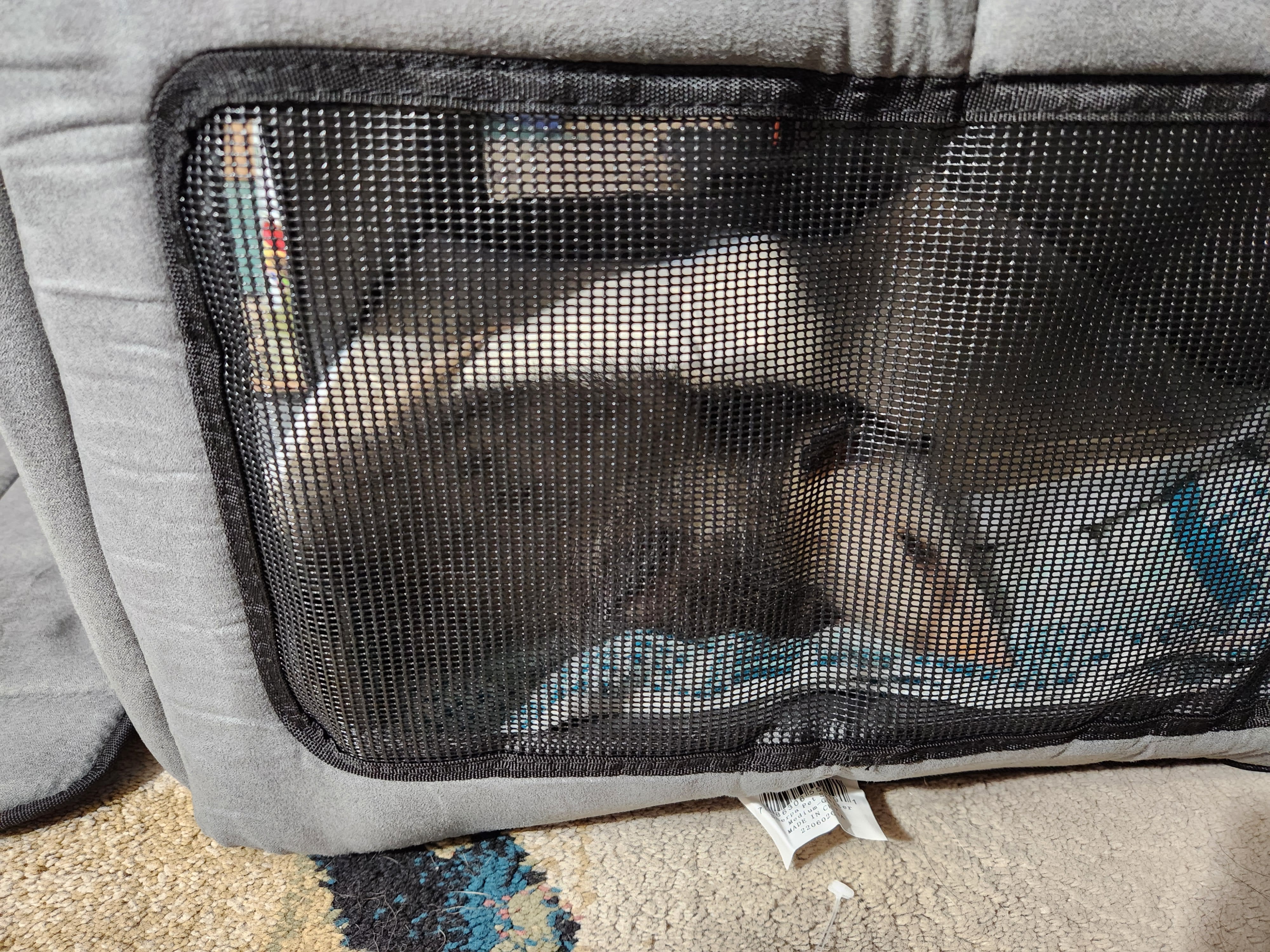 View through the side window screen