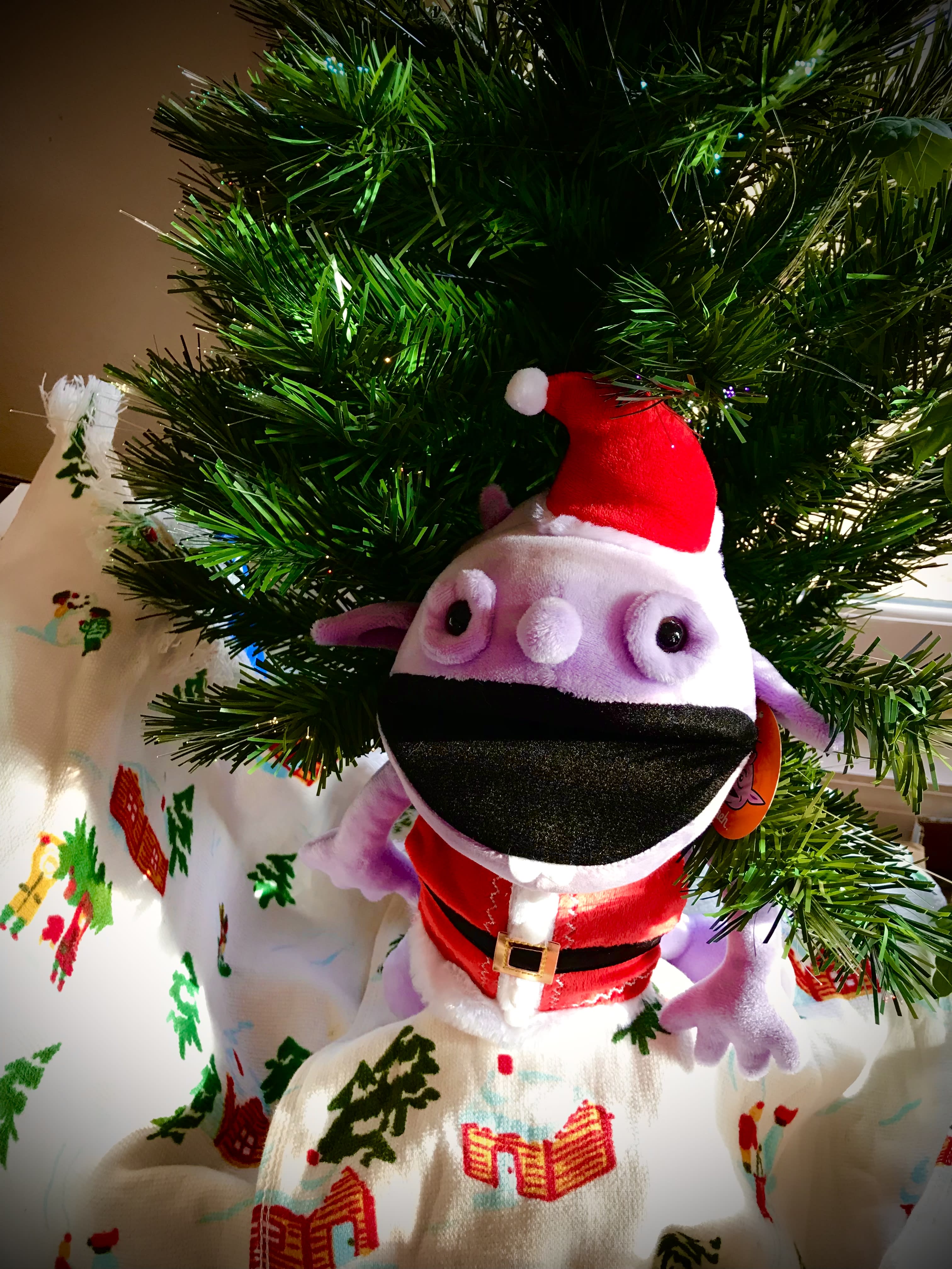 enter image description here