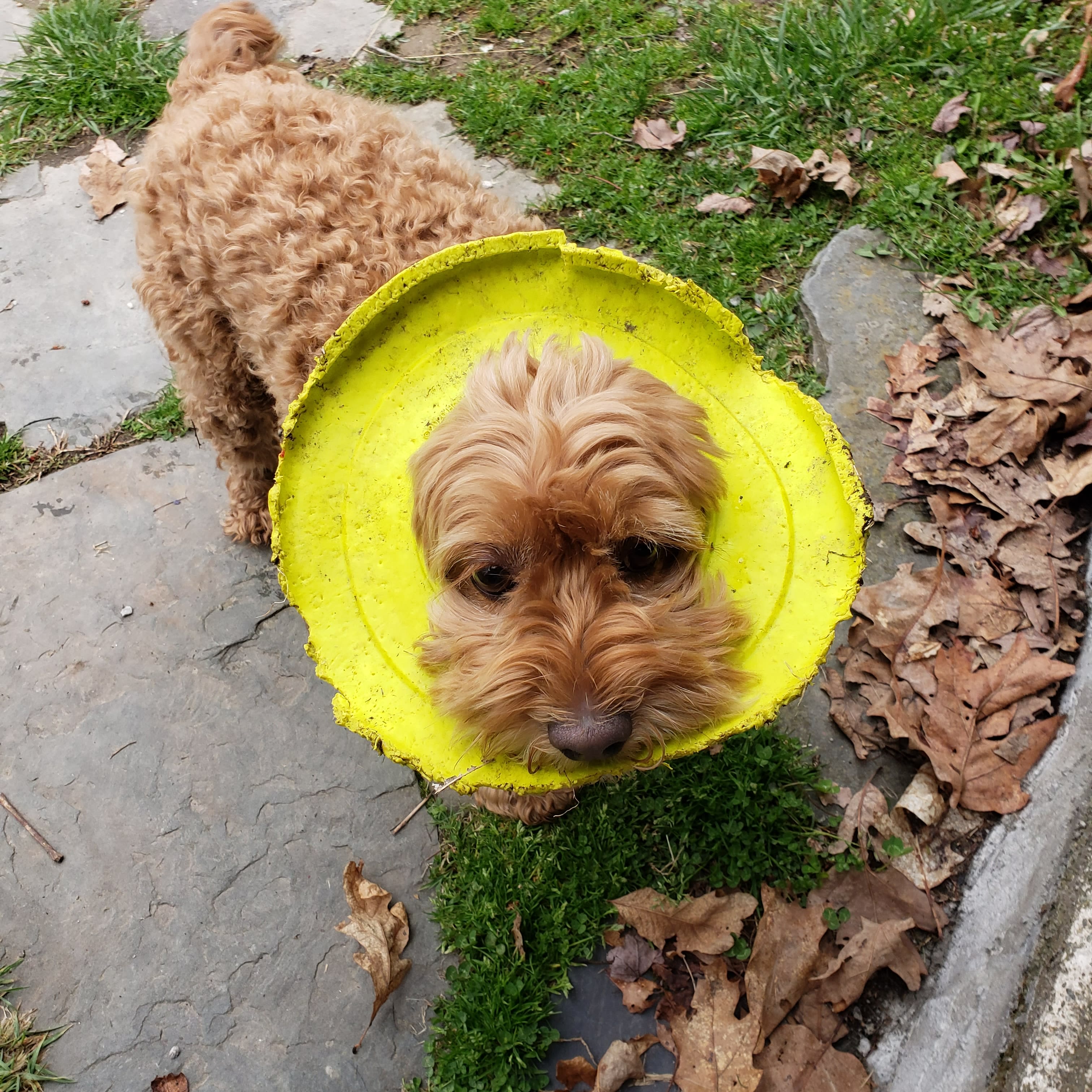 enter image description here