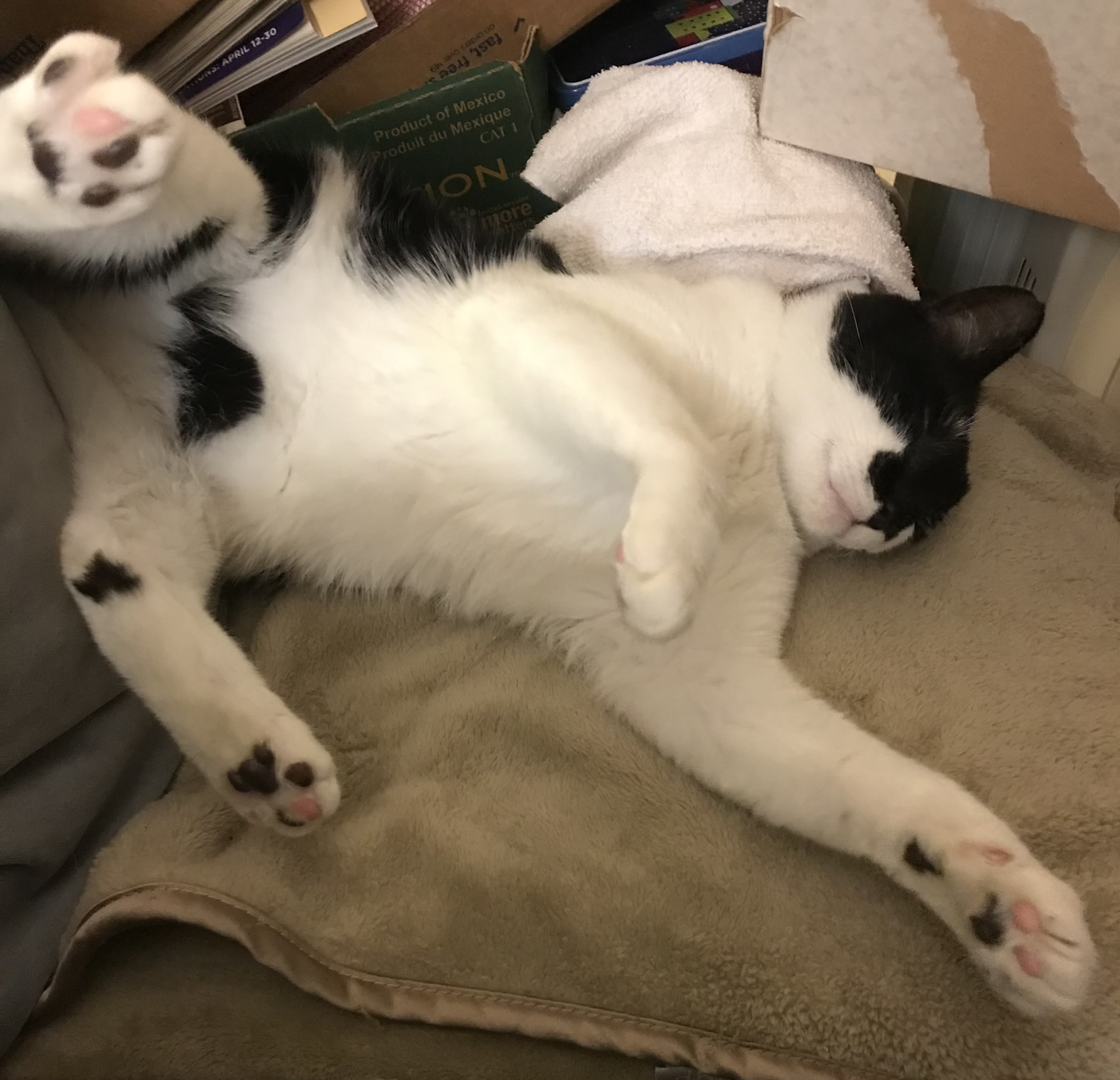 enter image description here