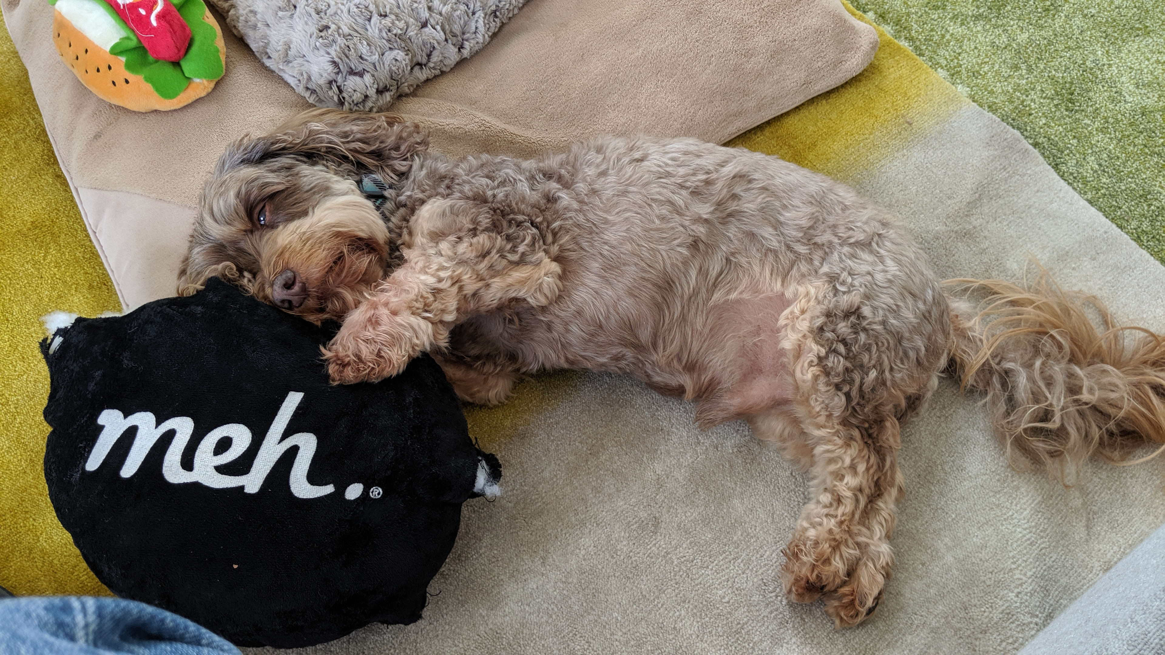 Semi destroyed, another deal soon?