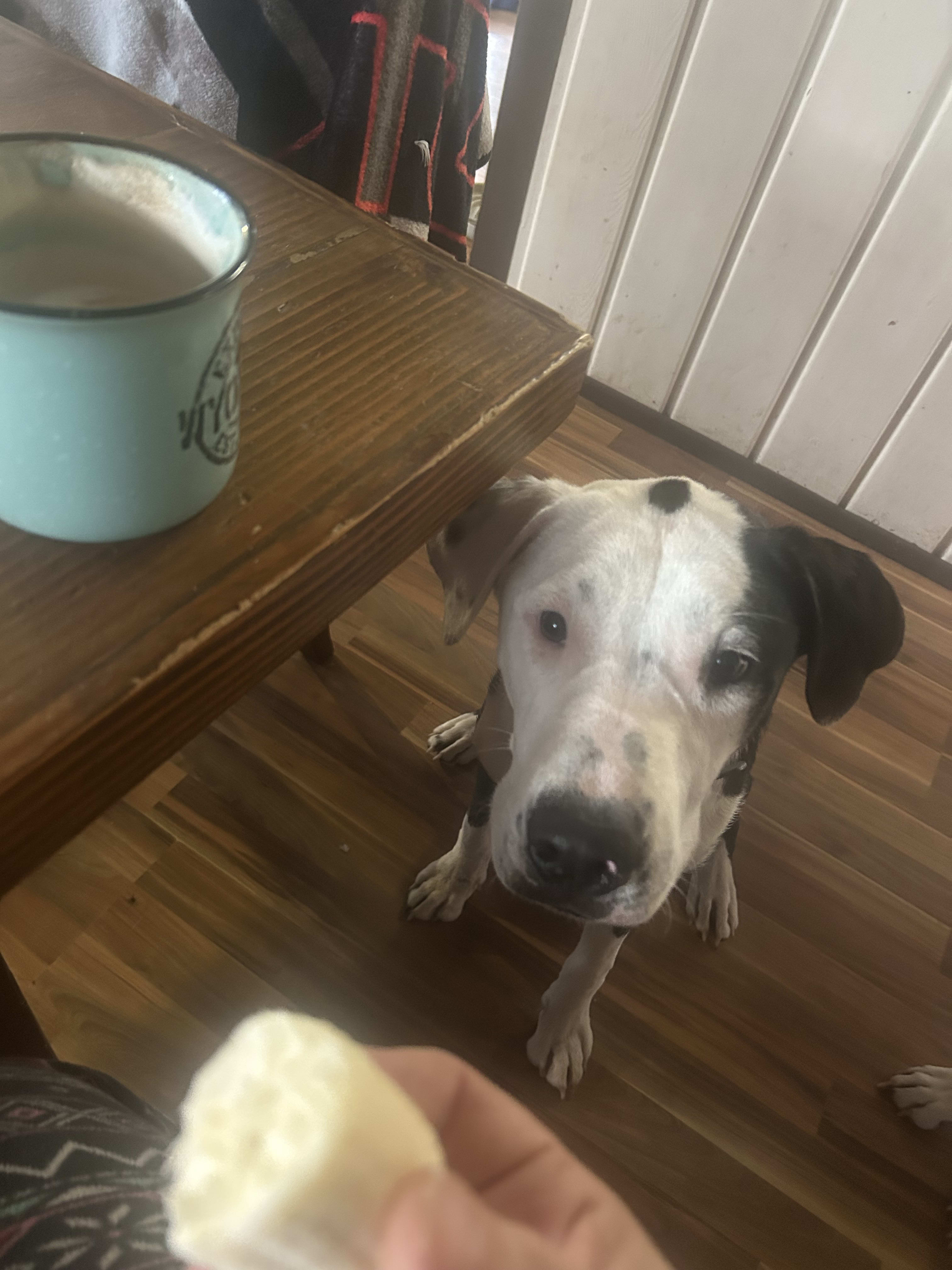 enter image description here