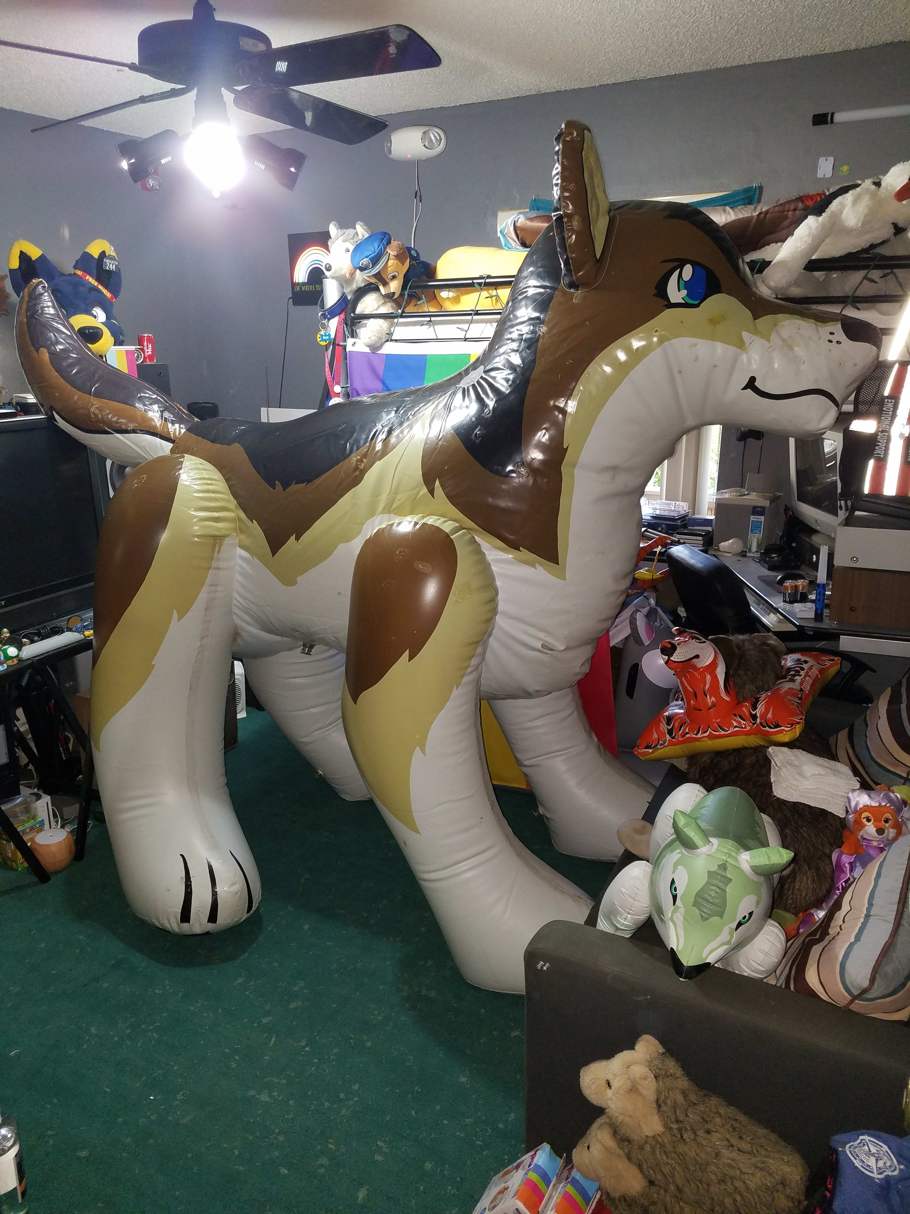 Looking a little tired here