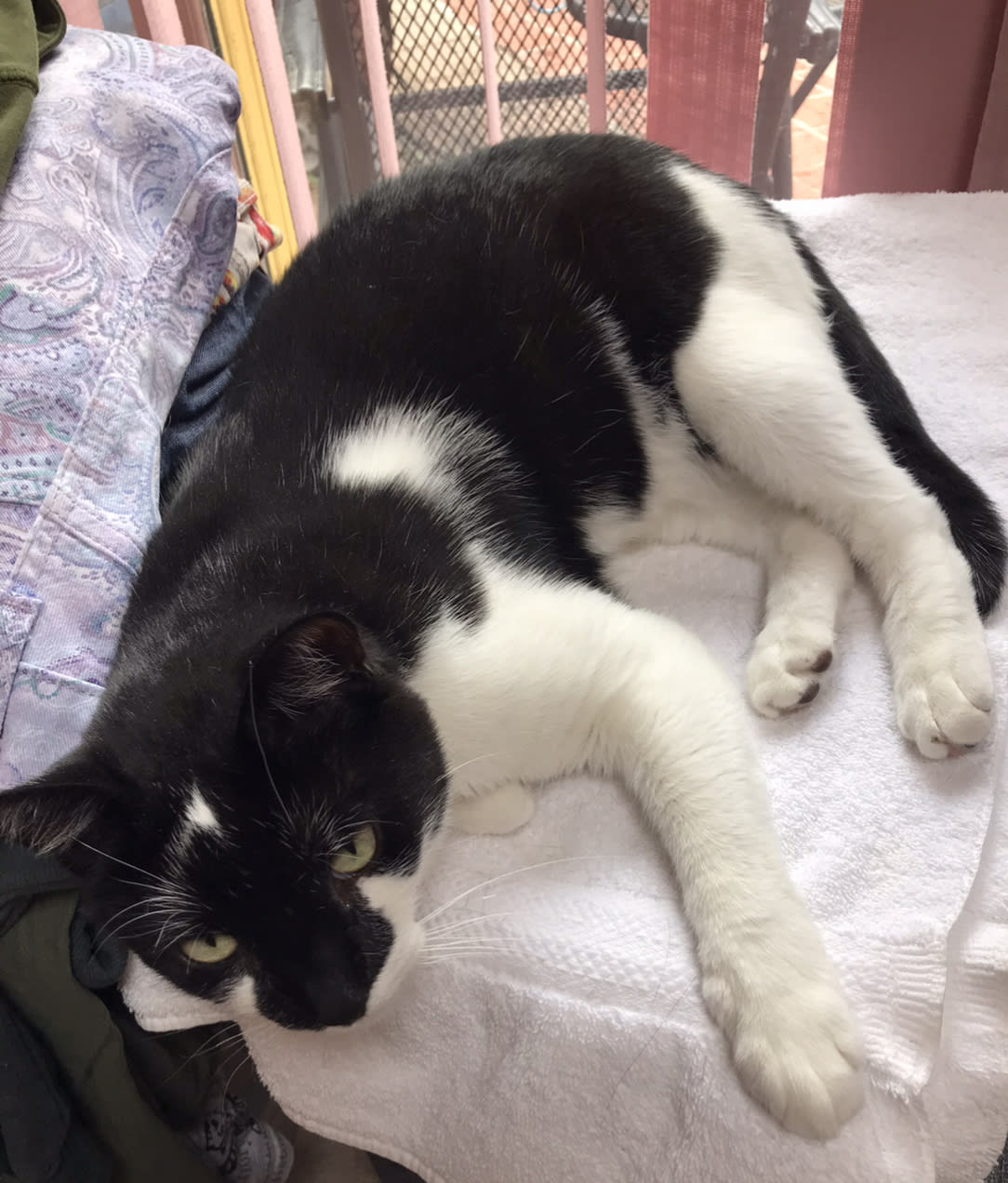 enter image description here