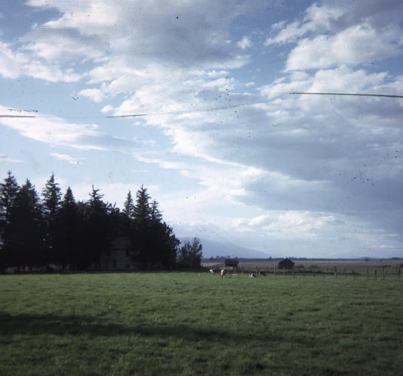 From long ago, and far away