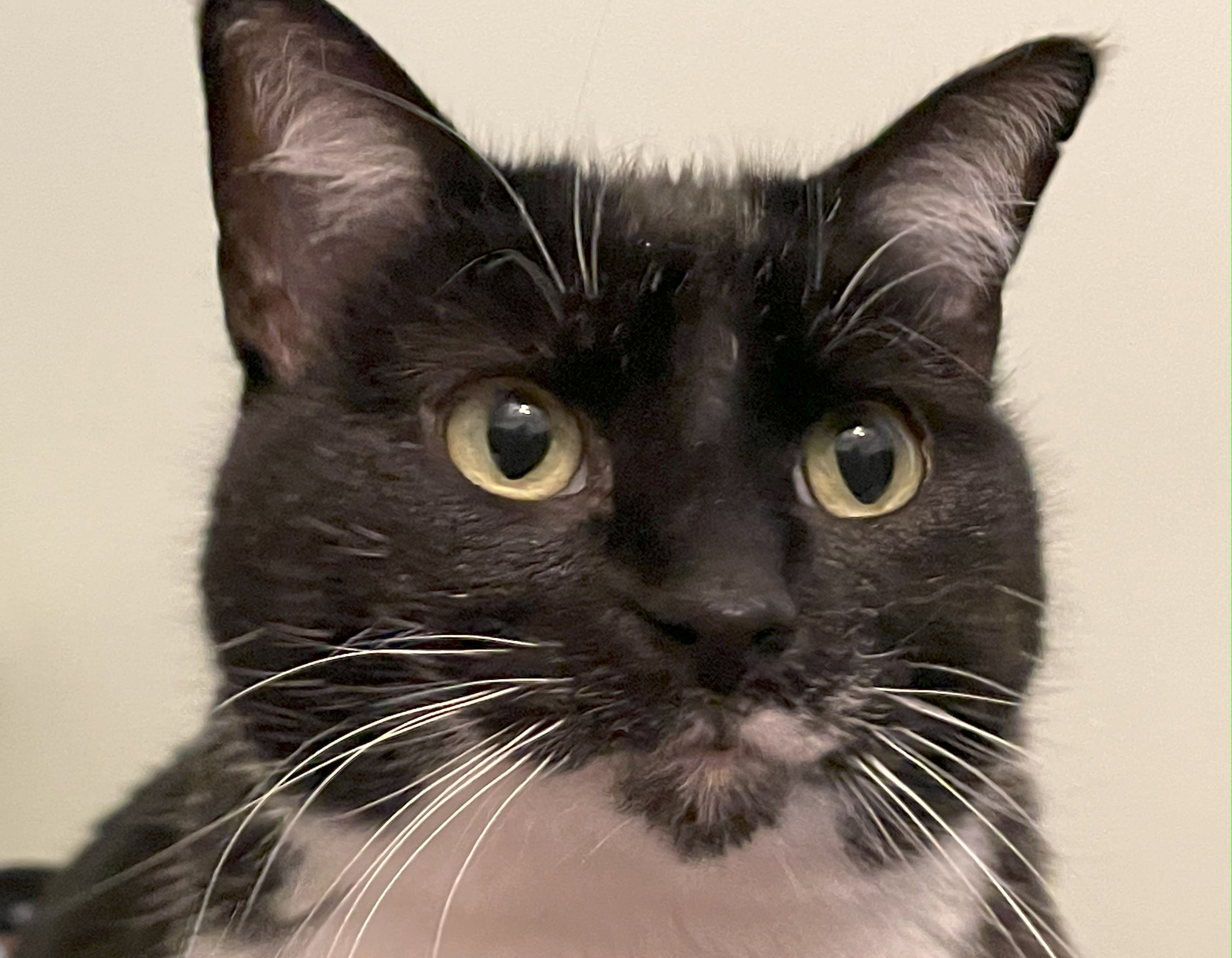 Do you trust this face?