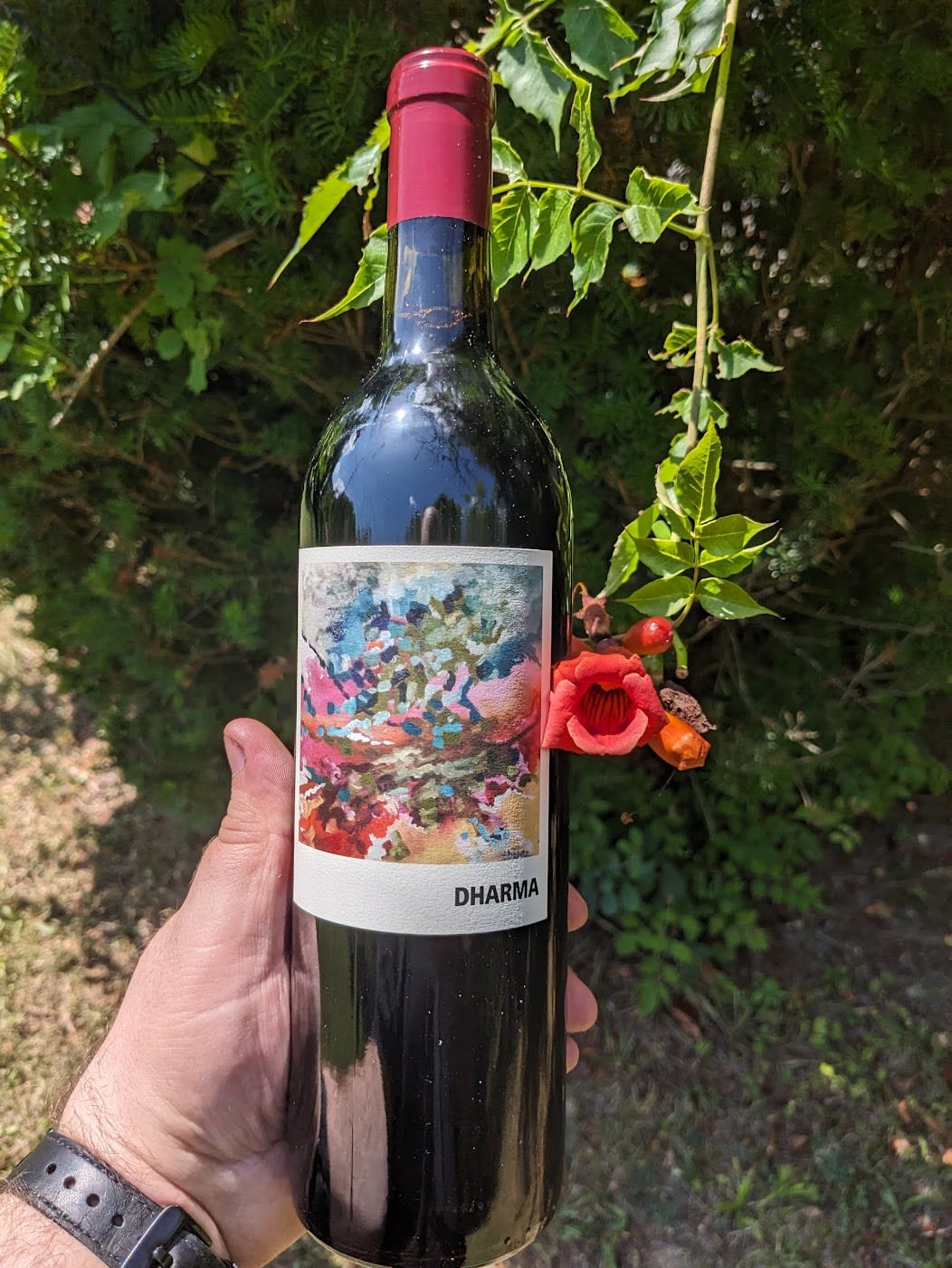 Bottle of 2022 vintage Dharma red wine blend