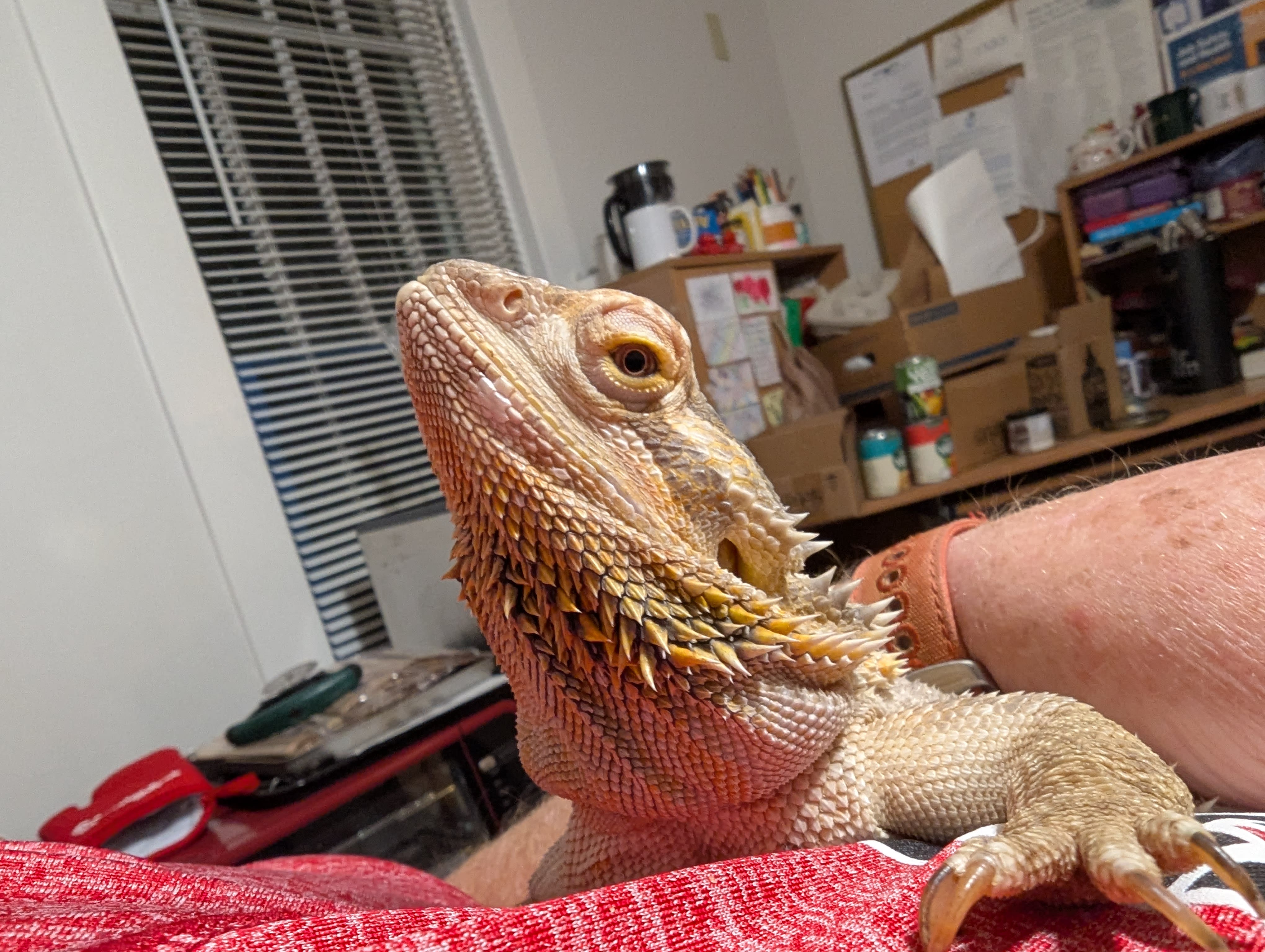 enter image description here