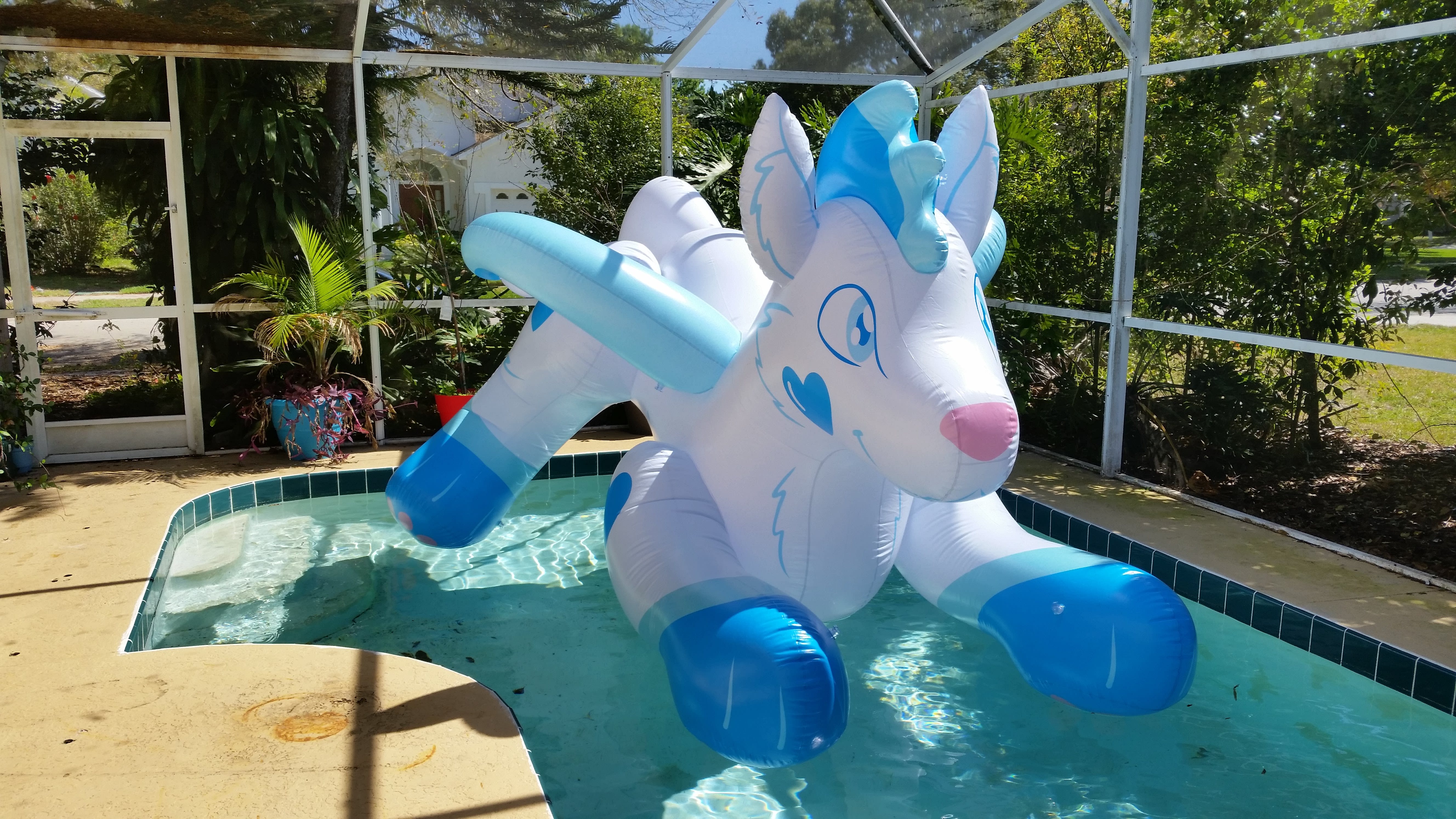 He almost takes up the whole pool!