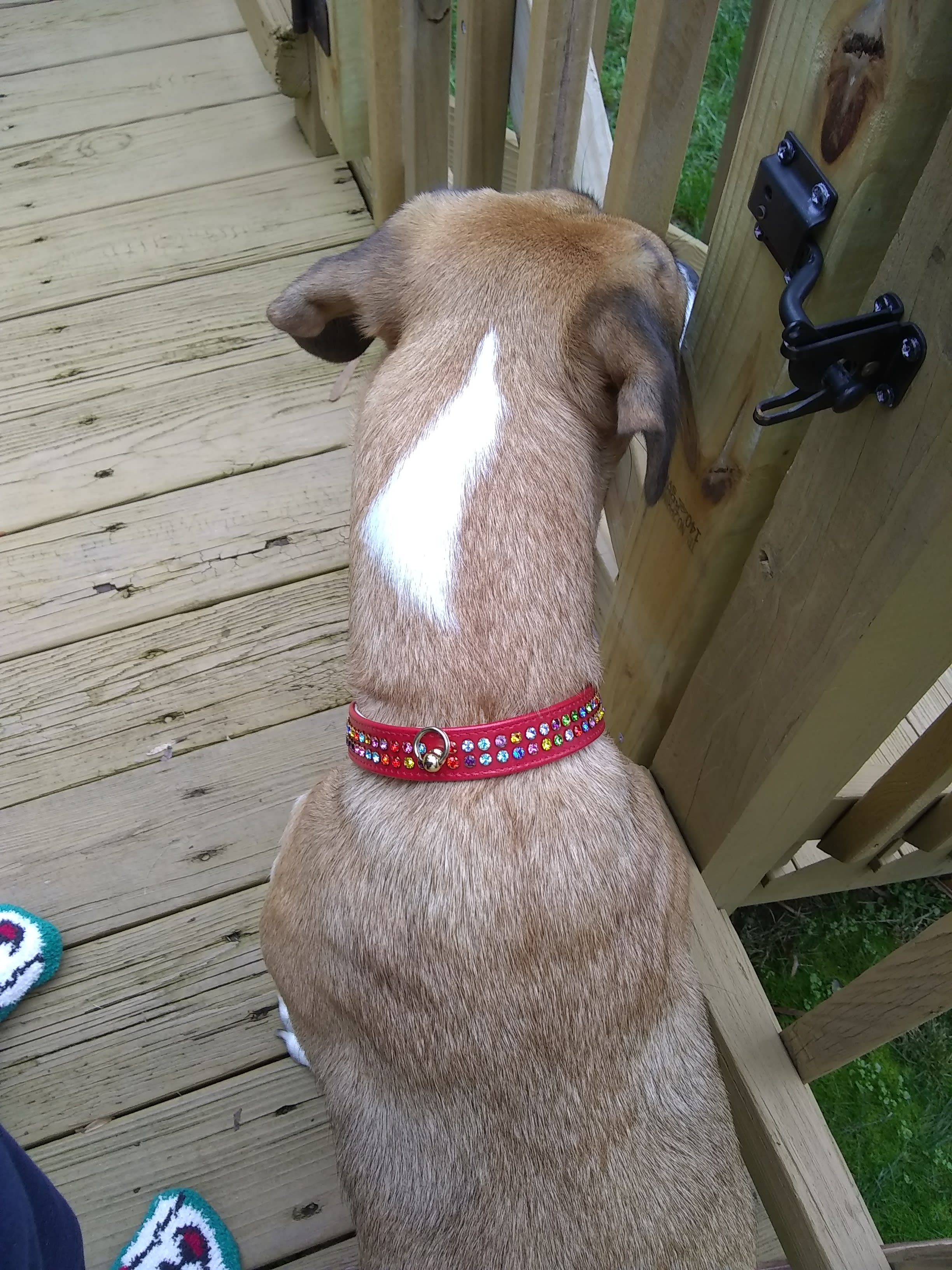 enter image description here