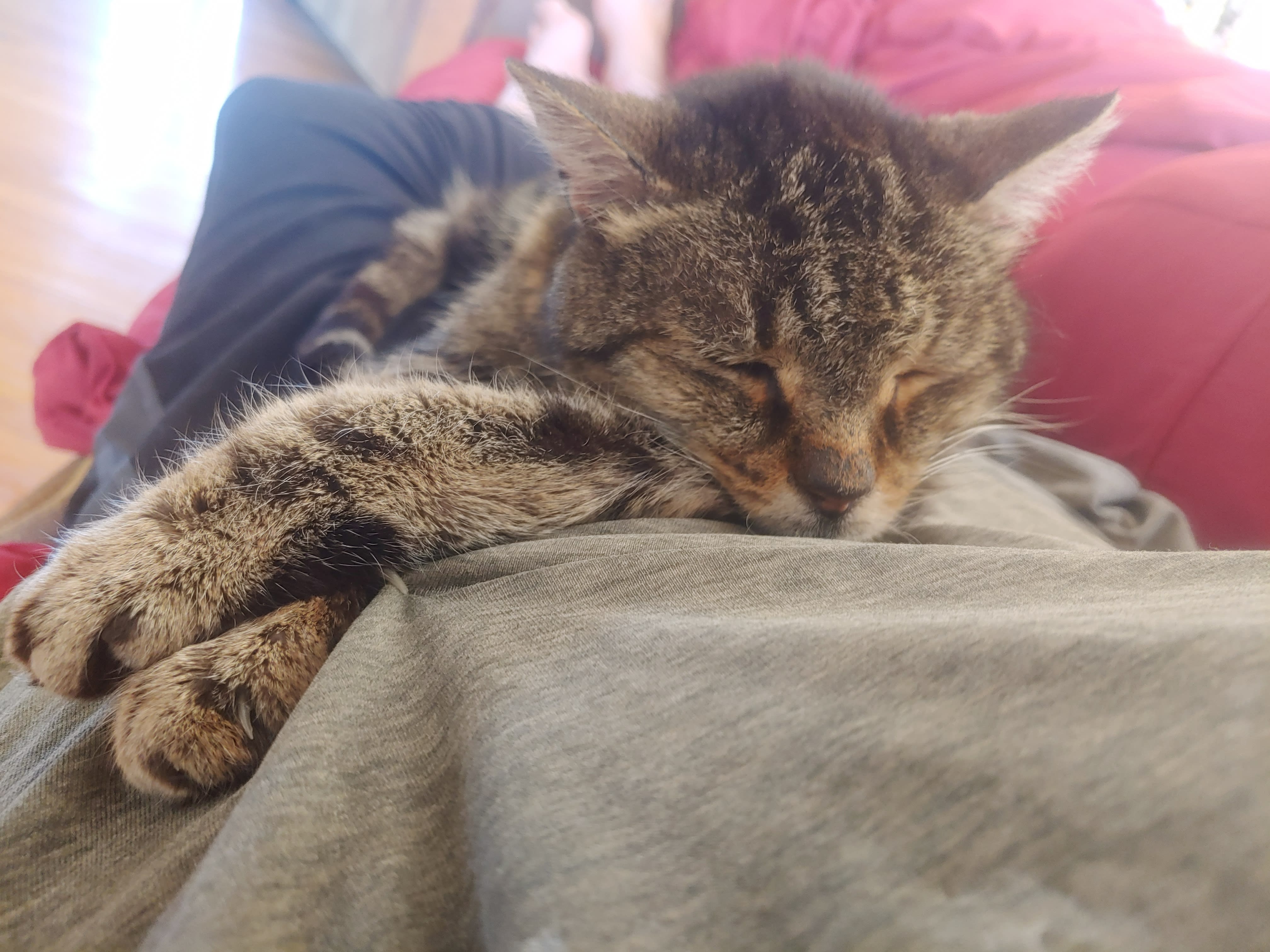 enter image description here