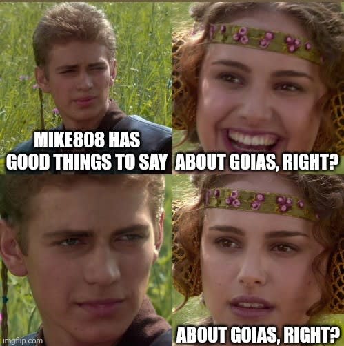 anakin padme template