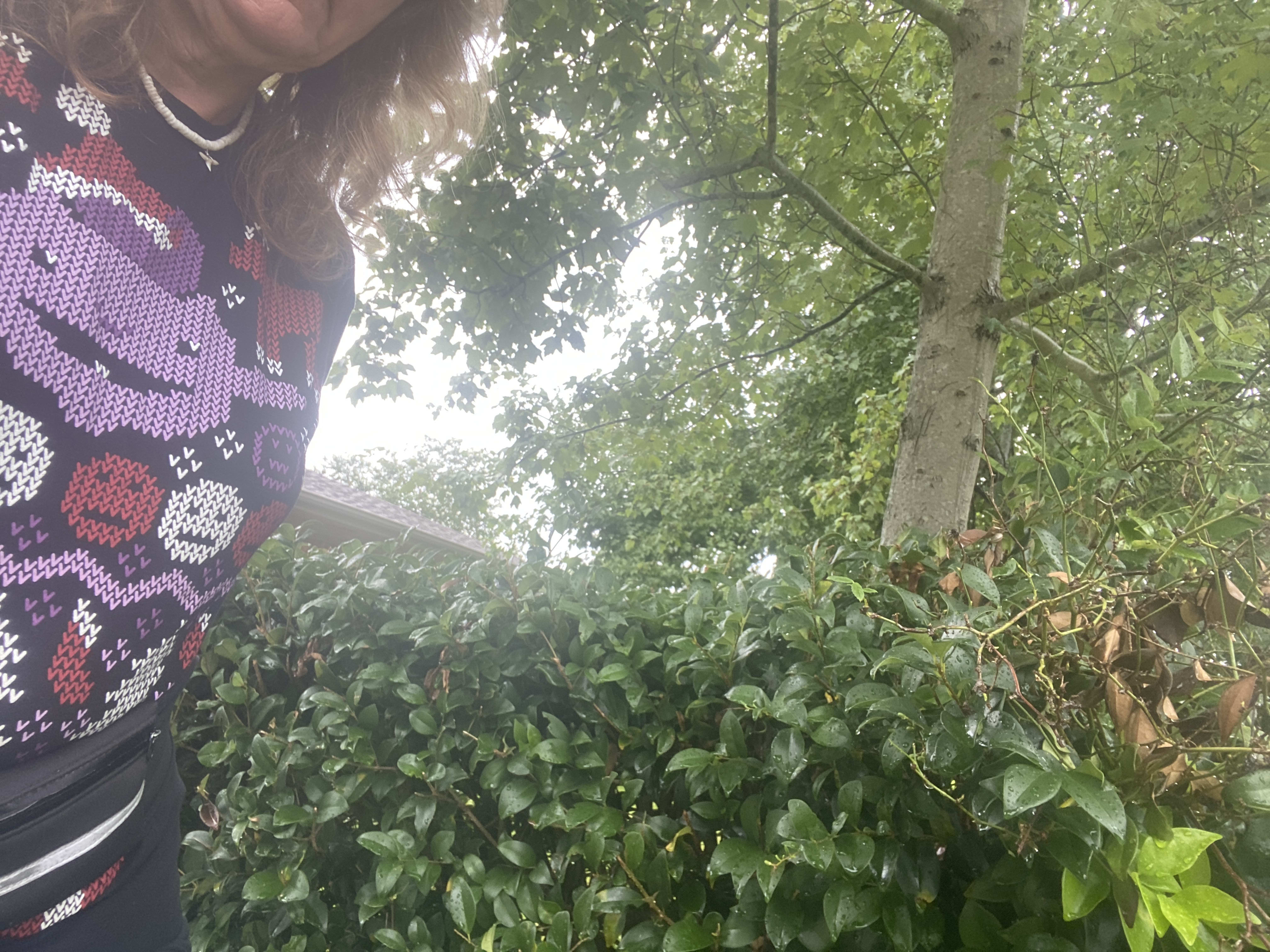 nothing exciting here 