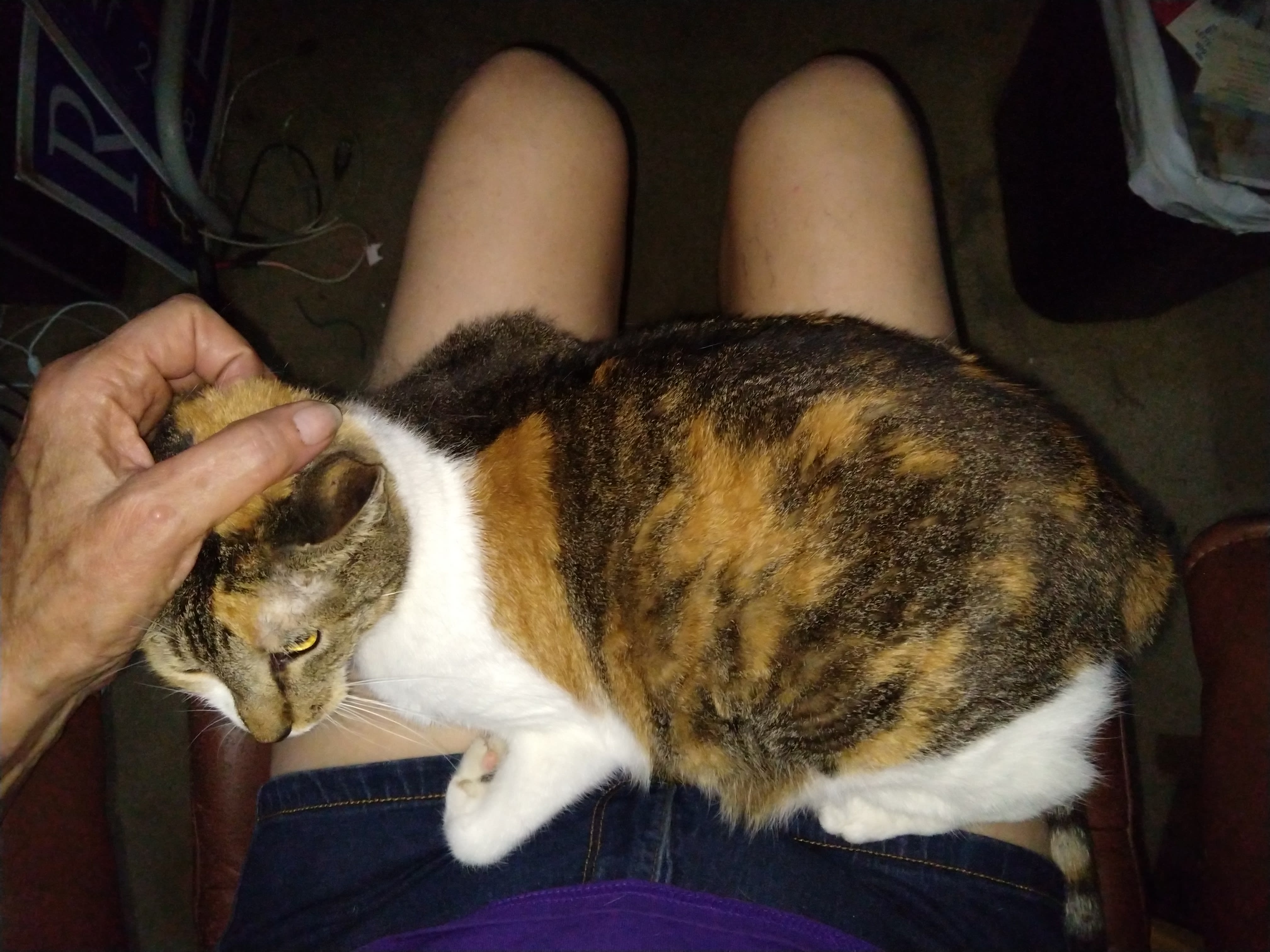 enter image description here