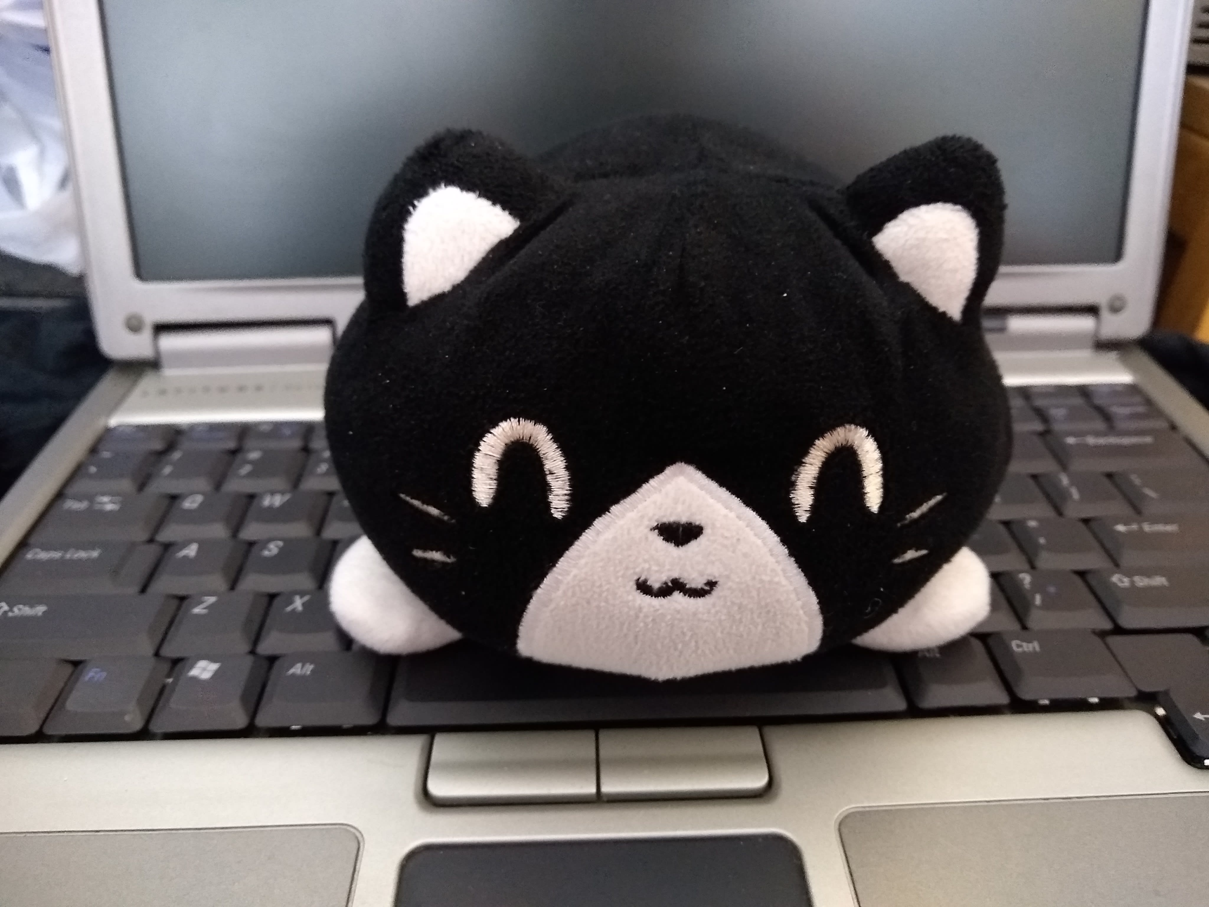 enter image description here