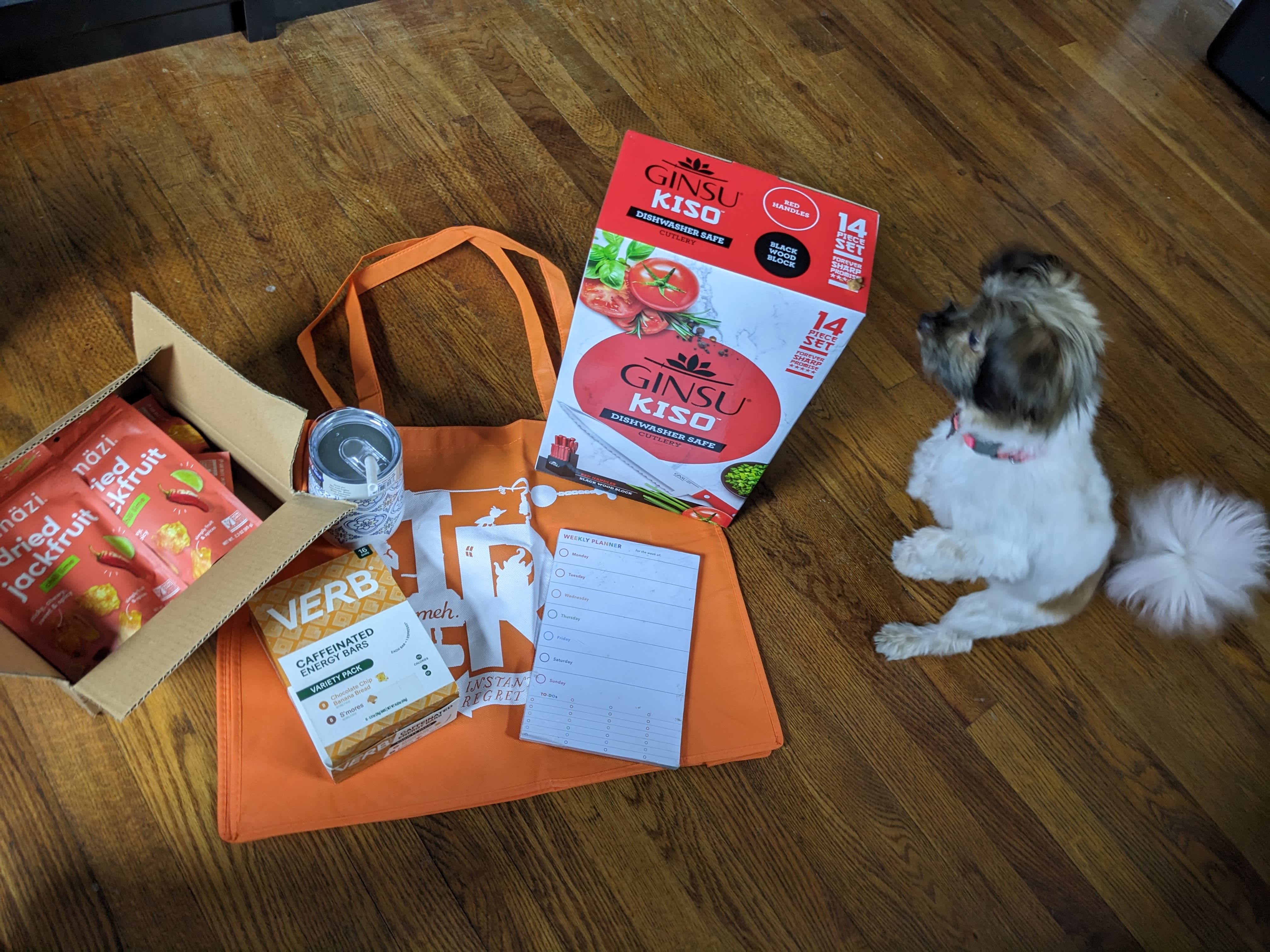 My IRK with a dog looking at it