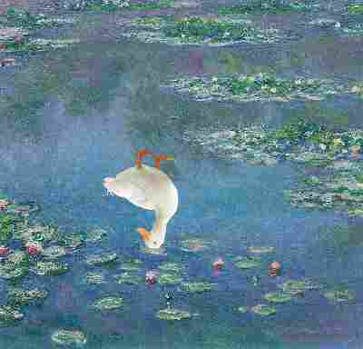 pond with inverted duck
