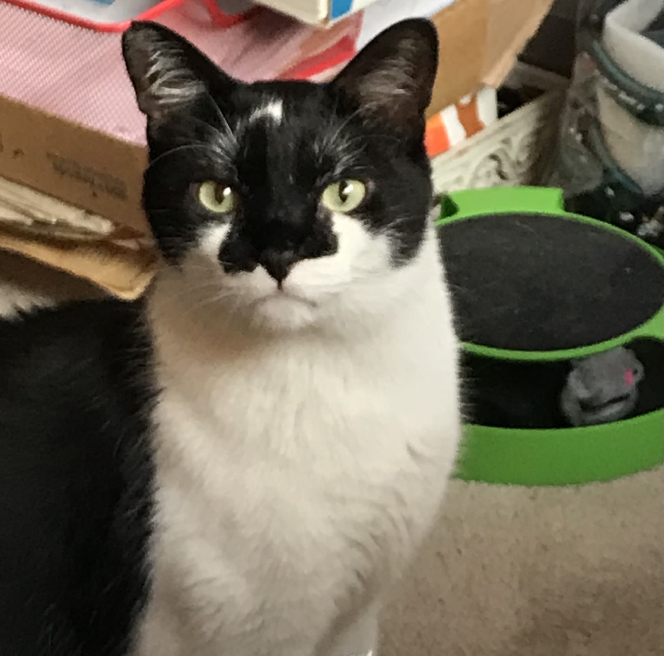 enter image description here