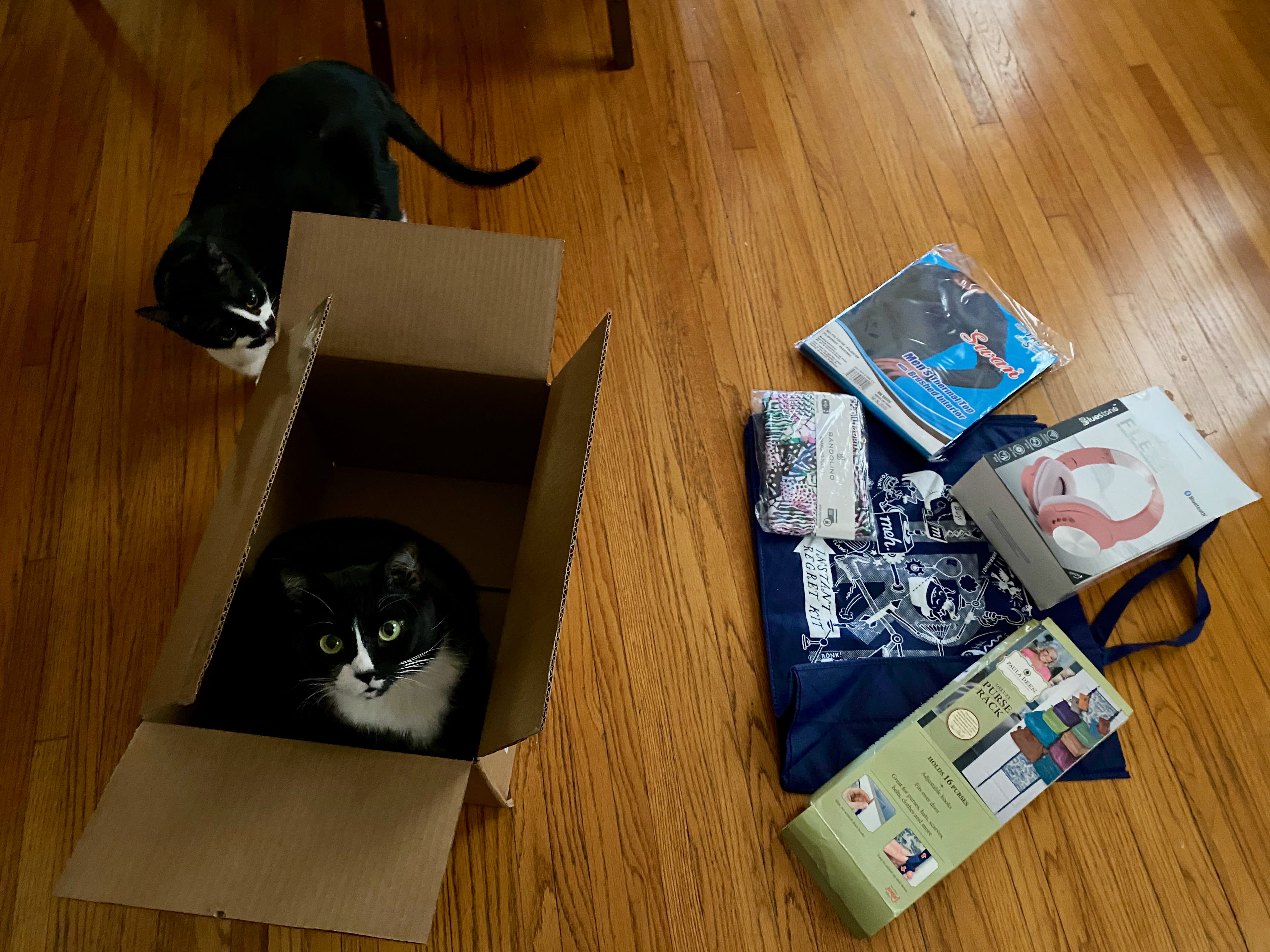 IRK contents plus cats