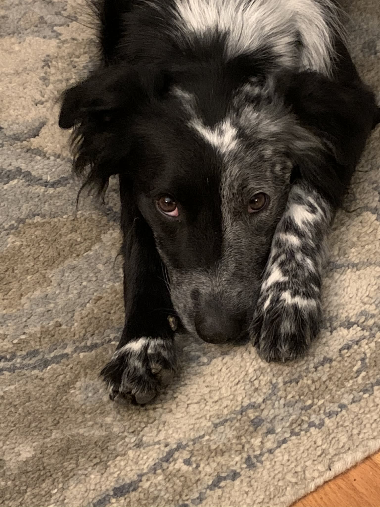 Tonks welcomes you to this mediocre world 