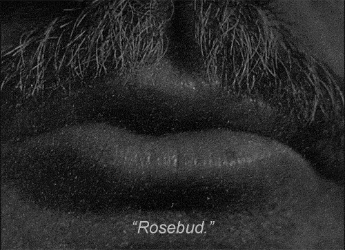 rosebud