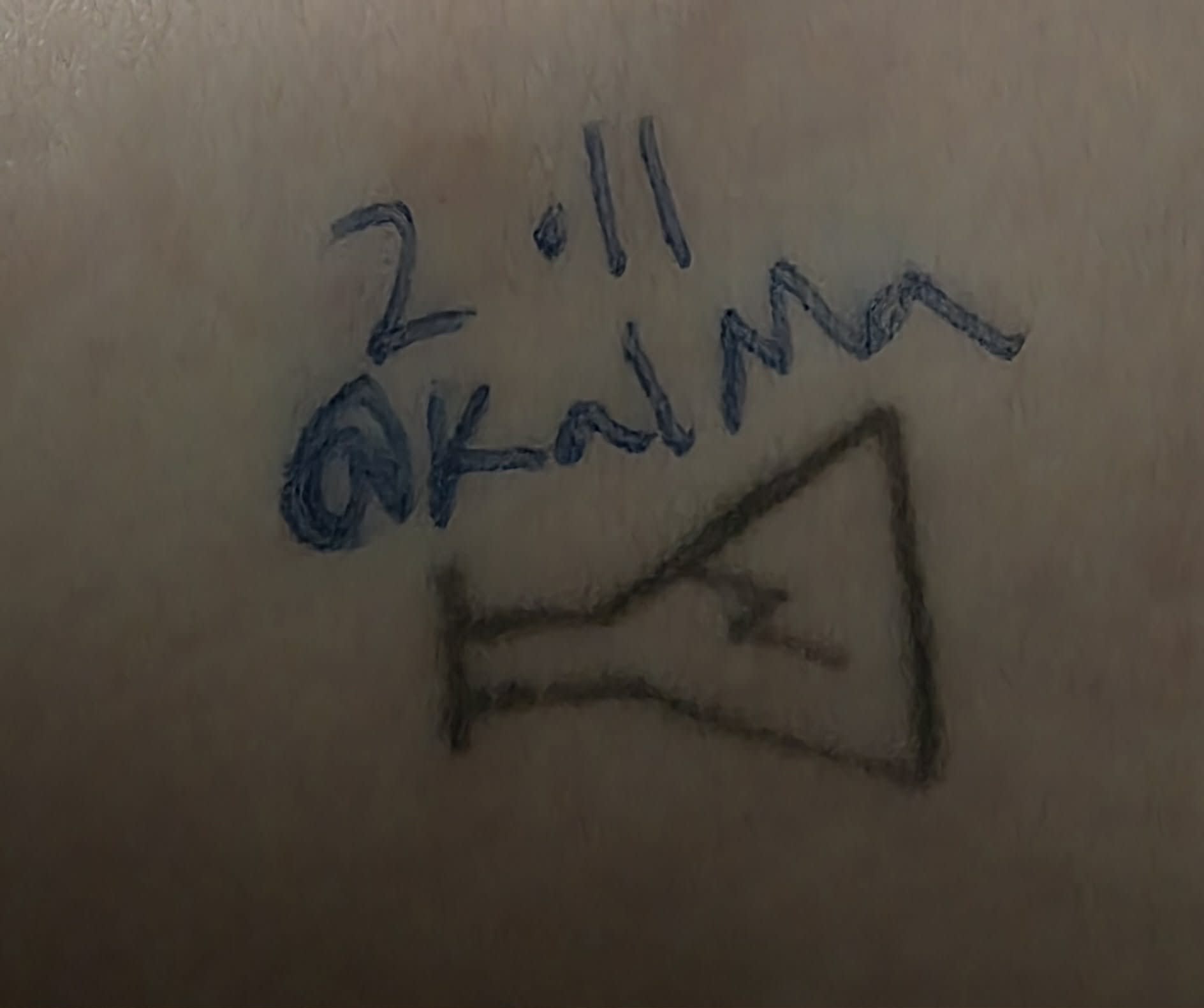 A probably too cropped picture